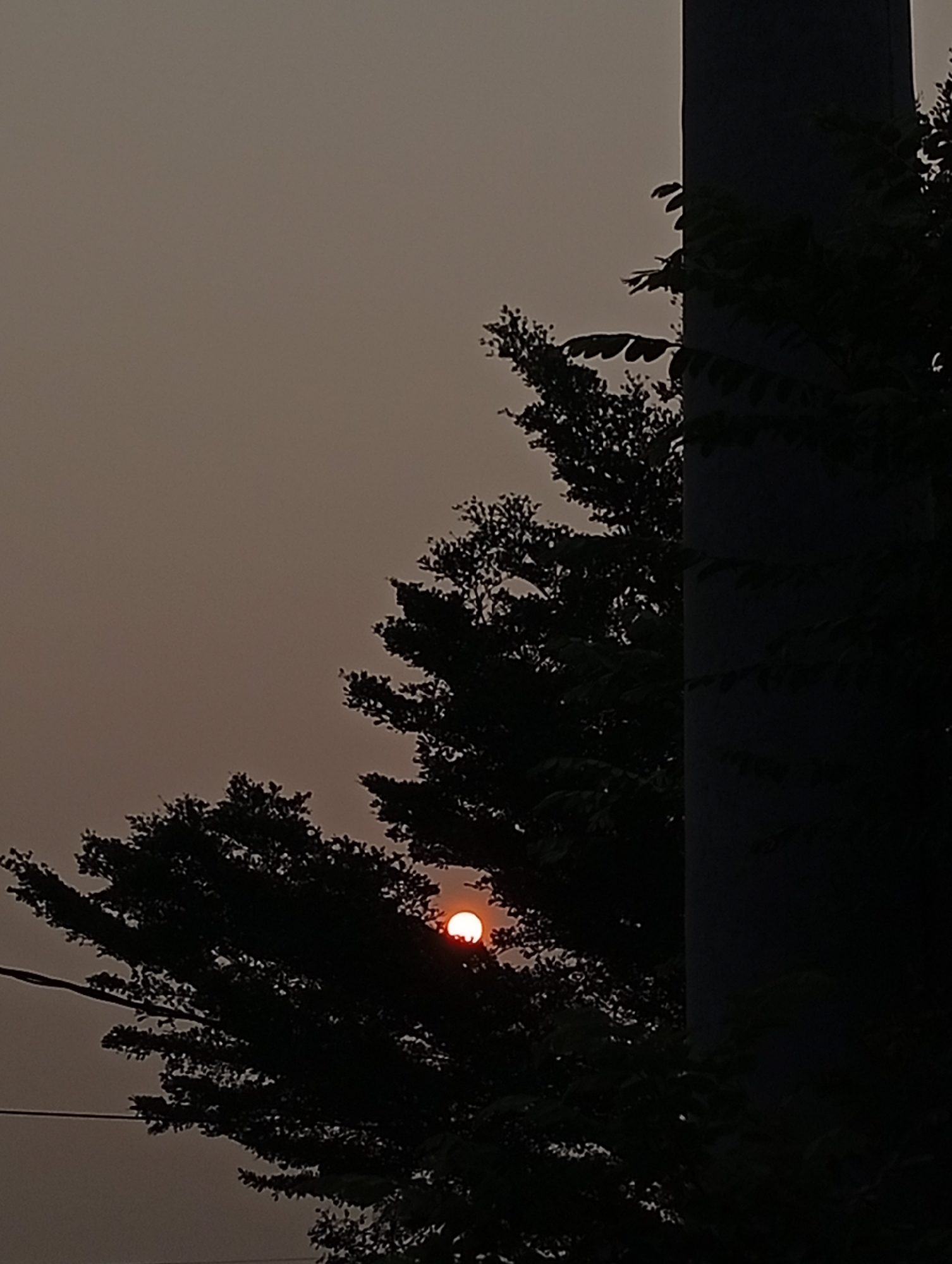 The image depicts a dusky sky in Kualu, Indonesia, with the sun partially obscured by the silhouetted branches of a tree. The sun appears as a small, orange-red orb. To the right, a dark, vertical structure, possibly a utility pole or building column, is also visible in silhouette, with some leaves from an adjacent tree appearing in front of it. The overall atmosphere is dim and hazy, suggesting either dawn or dusk, with a muted, grayish-brown sky. The foreground is dominated by the dark shapes of foliage, creating a stark contrast with the less obscured sky and sun. No people are visible in the frame.