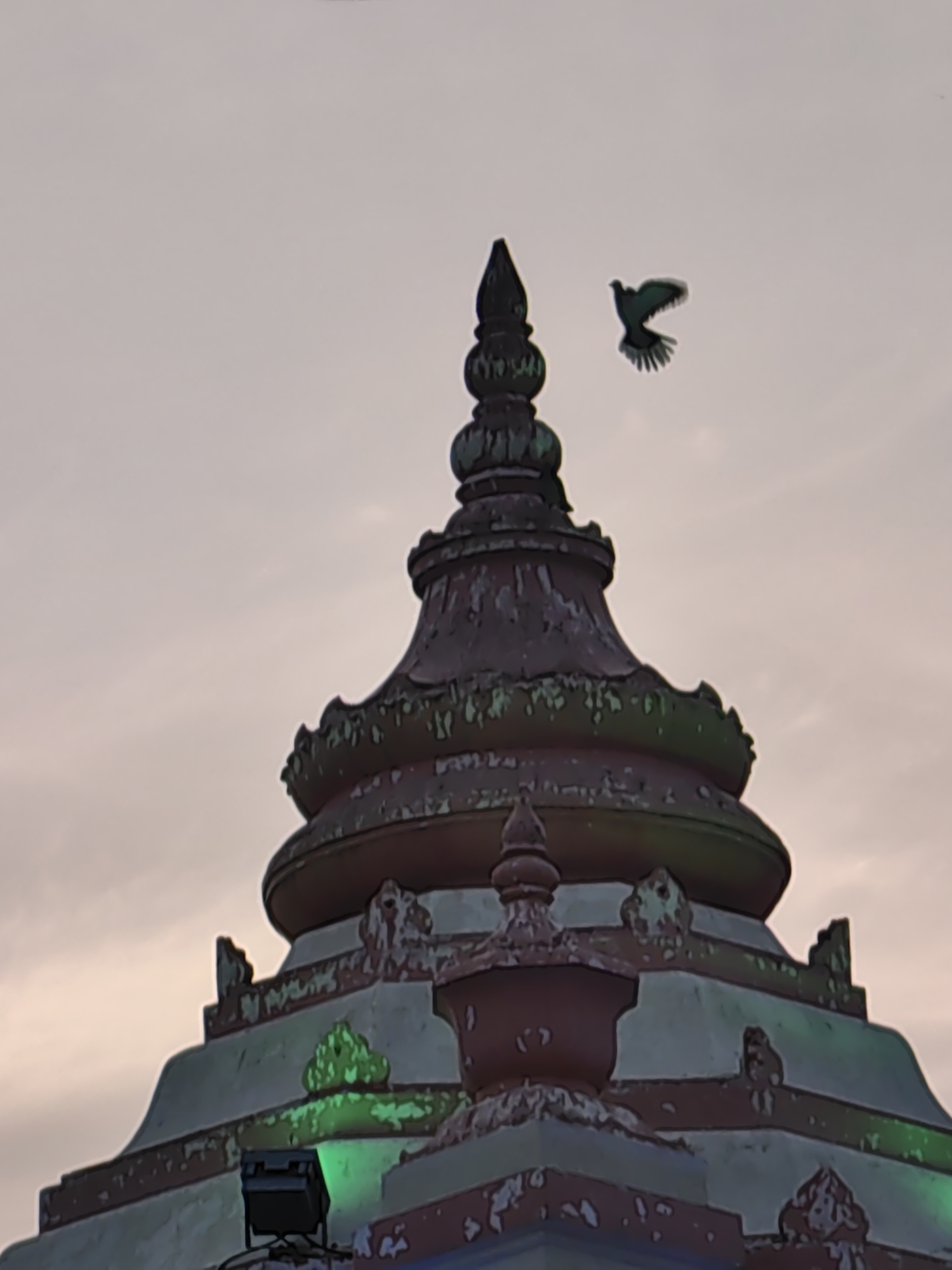 The image shows a bird in flight against a pale sky, with the top of a temple structure in Varanasi, India, in the foreground. The temple has multiple tiers with ornate details, painted in red and white, with some sections illuminated by green lights. The bird, appearing to be a dove or pigeon, is captured mid-flight with its wings spread. The sky is a muted tone, suggesting either dawn or dusk.