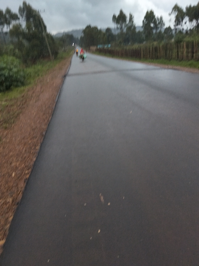 The image depicts a rural or semi-rural road scene in Nyansiongo ward, Kenya, under an overcast sky, suggesting low light conditions such as dusk, dawn, or a heavily clouded day. The paved road surface appears dark and possibly damp or wet. To the left, a reddish-brown dirt shoulder abuts the asphalt, followed by dense green vegetation including bushes and trees. In the distance, two individuals are visible on the road, moving away from the viewer. The lead person is on a bicycle, displaying a visible red or orange item. Behind them, a second individual is also on a bicycle, carrying a large, light-colored, possibly green or light blue, bundle or object. Further down the road on the left, a distinct white light source is apparent. The right side of the road in the mid-ground features a long, low wooden fence or barrier, behind which more trees are visible. Distant hills or mountains form the horizon line on the far left.