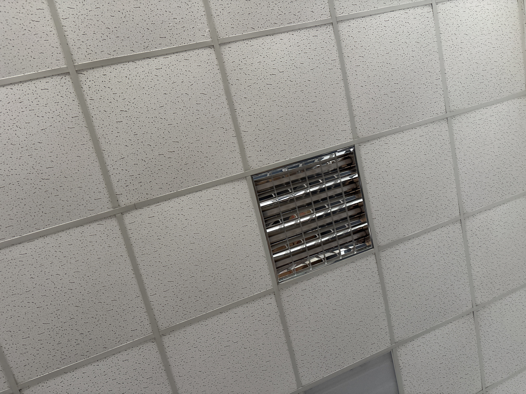 The media file shows a low-angle shot of a drop ceiling in what appears to be an indoor commercial or institutional setting. The ceiling is composed of white acoustic tiles with a textured surface, divided by a grid of metallic framing. A rectangular fluorescent light fixture is visible, recessed into one of the ceiling panels. The fixture has a reflective metal grille covering its lamps. The overall lighting suggests an indoor environment, likely during daylight hours, though no windows or external light sources are visible. The scene is devoid of people or any clear indication of activity. The image does not contain any visible text. The setting is generic and could be an office, school, hospital, or retail space. The image was taken in Zaporizhzhia, Ukraine.