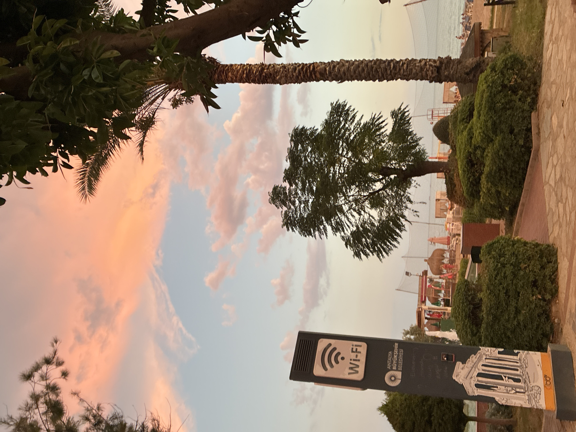 The image depicts a picturesque beach scene in Alanya, Turkey, during sunset. The sky is a canvas of soft pink and orange hues, with scattered clouds contributing to the dramatic sky. In the foreground, a signpost with a "Wi-Fi" symbol and the text "ANTALYA BÜYÜKŞEHİR BELEDİYESİ" (Antalya Metropolitan Municipality) is prominently displayed. Adjacent to the signpost are lush green bushes, meticulously trimmed. Beyond the foliage, a sandy beach stretches out, dotted with lounge chairs and umbrellas, suggesting a relaxing atmosphere. The sea is visible in the distance, with a few people enjoying the evening. Towering palm trees and other foliage frame the scene, adding to the tropical ambiance. The overall impression is one of tranquility and natural beauty, enhanced by the warm glow of the setting sun.
