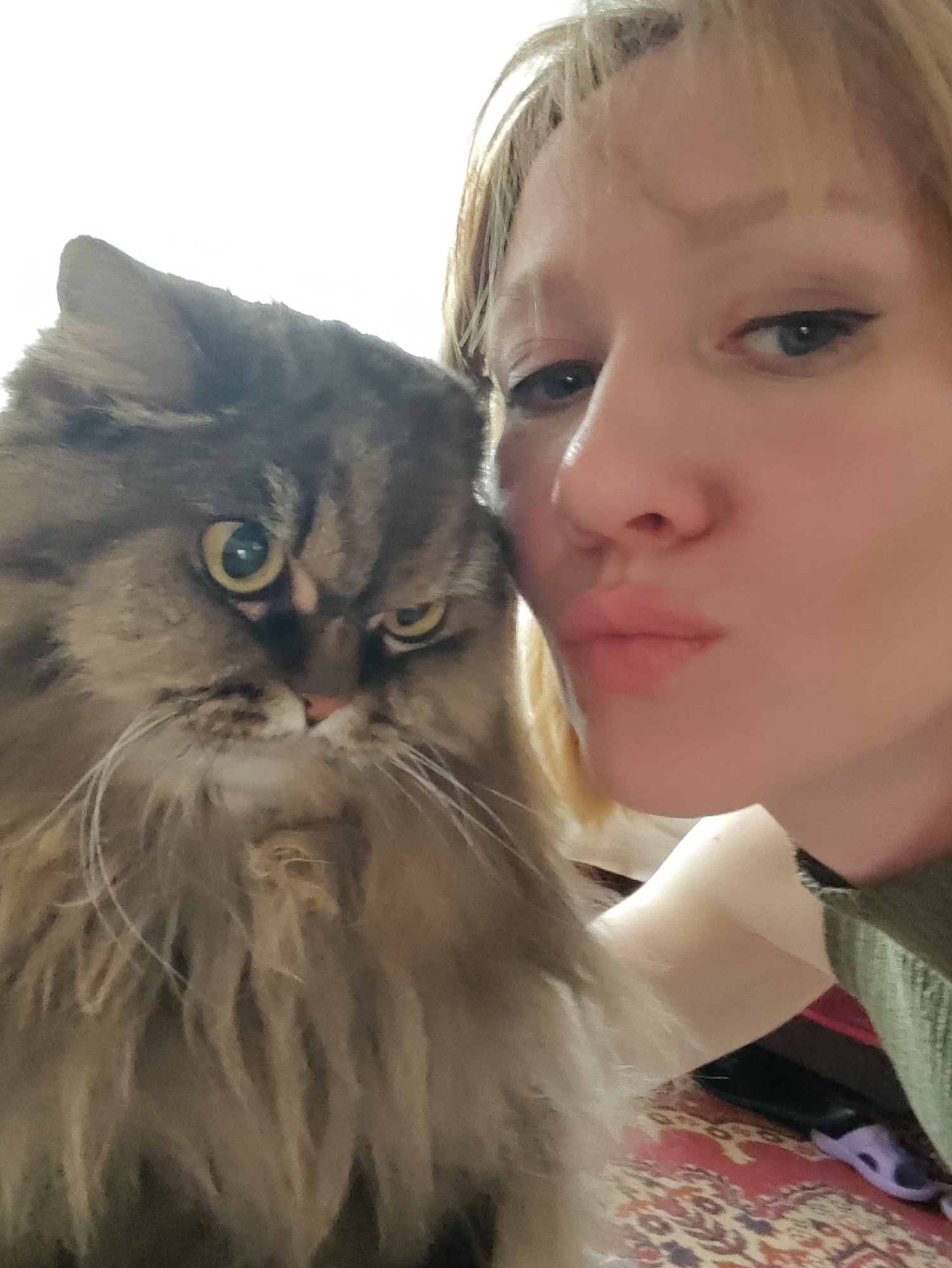 A close-up selfie shows a person and a cat. The person, with blonde hair and fair skin, is leaning in towards the camera, puckering their lips and wearing makeup. A fluffy, long-haired cat with brown and gray fur and yellow eyes is positioned to the left of the person. The cat appears to be looking towards the camera with a somewhat grumpy expression. The background is out of focus and appears to be an indoor setting with a patterned rug visible on the lower right. There is no information within the image to indicate the location in the city of Chaikovsky, Russia.