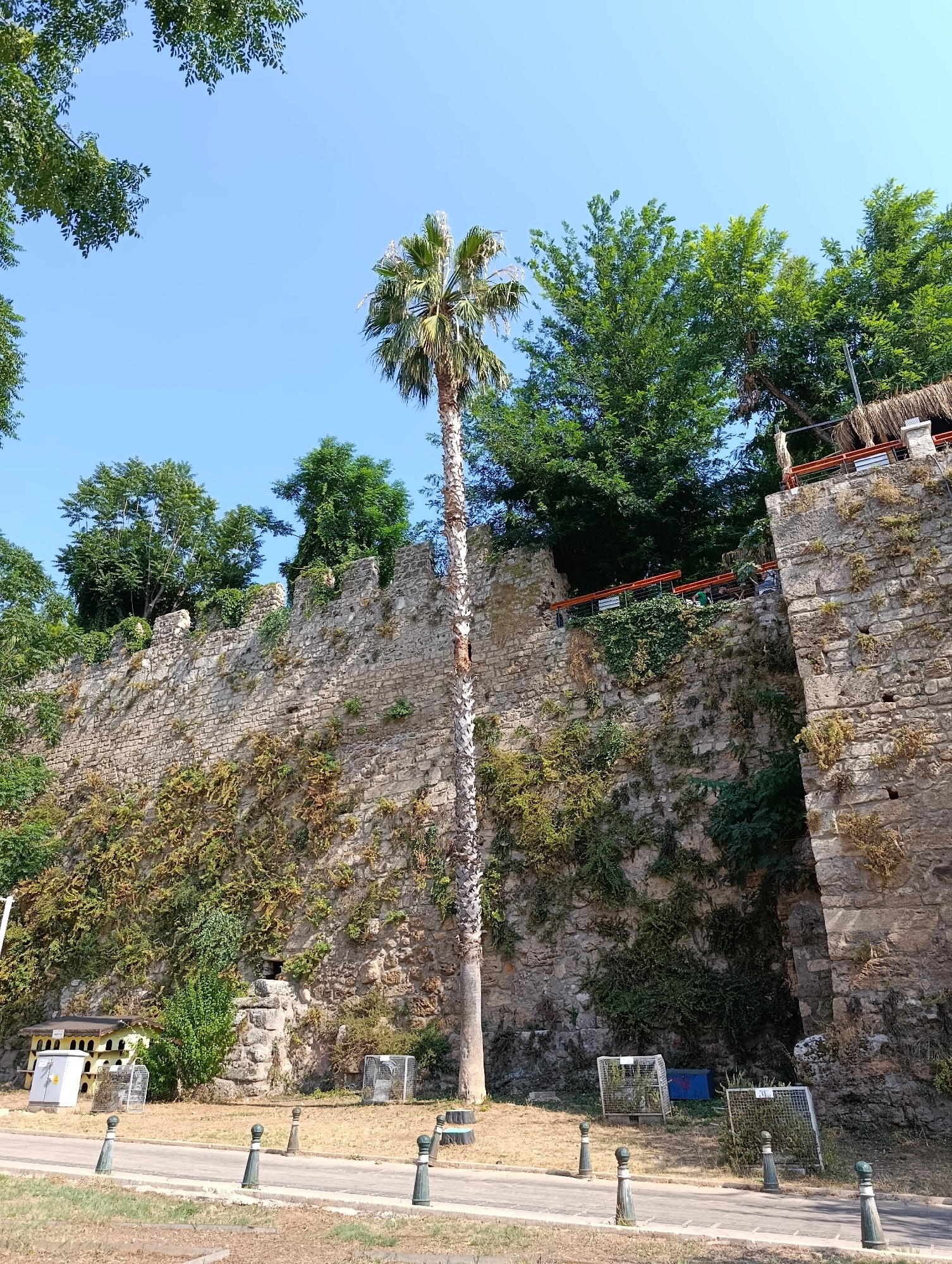 The image depicts a section of an ancient stone wall in Antalya, Turkey, likely part of historical fortifications. The wall, constructed from rough-hewn stones, is partially covered with green vegetation, including vines and moss, indicating its age and exposure to the elements. A tall palm tree stands prominently in front of the wall, its trunk weathered and its fronds reaching towards a clear blue sky.
At the base of the wall, a paved walkway is visible, bordered by a grassy area. Several decorative bollards with rounded tops are placed along the walkway. To the left of the palm tree, a yellow and white structure resembling a pigeon coop or birdhouse is situated near the wall. In front of the wall, there are several wire mesh cages, some containing plants. A blue plastic container is also visible in the vicinity.
Above the wall, on a higher level, a wooden deck or seating area with thatched roofing can be observed. Several individuals are casually seated in this area, enjoying the view or a meal. Orange railings delineate the edge of this elevated space. The surrounding area is lush with green trees, contrasting with the weathered stone of the wall and the bright blue of the sky. The overall scene suggests a public space that has preserved its historical character while incorporating modern amenities for visitors.