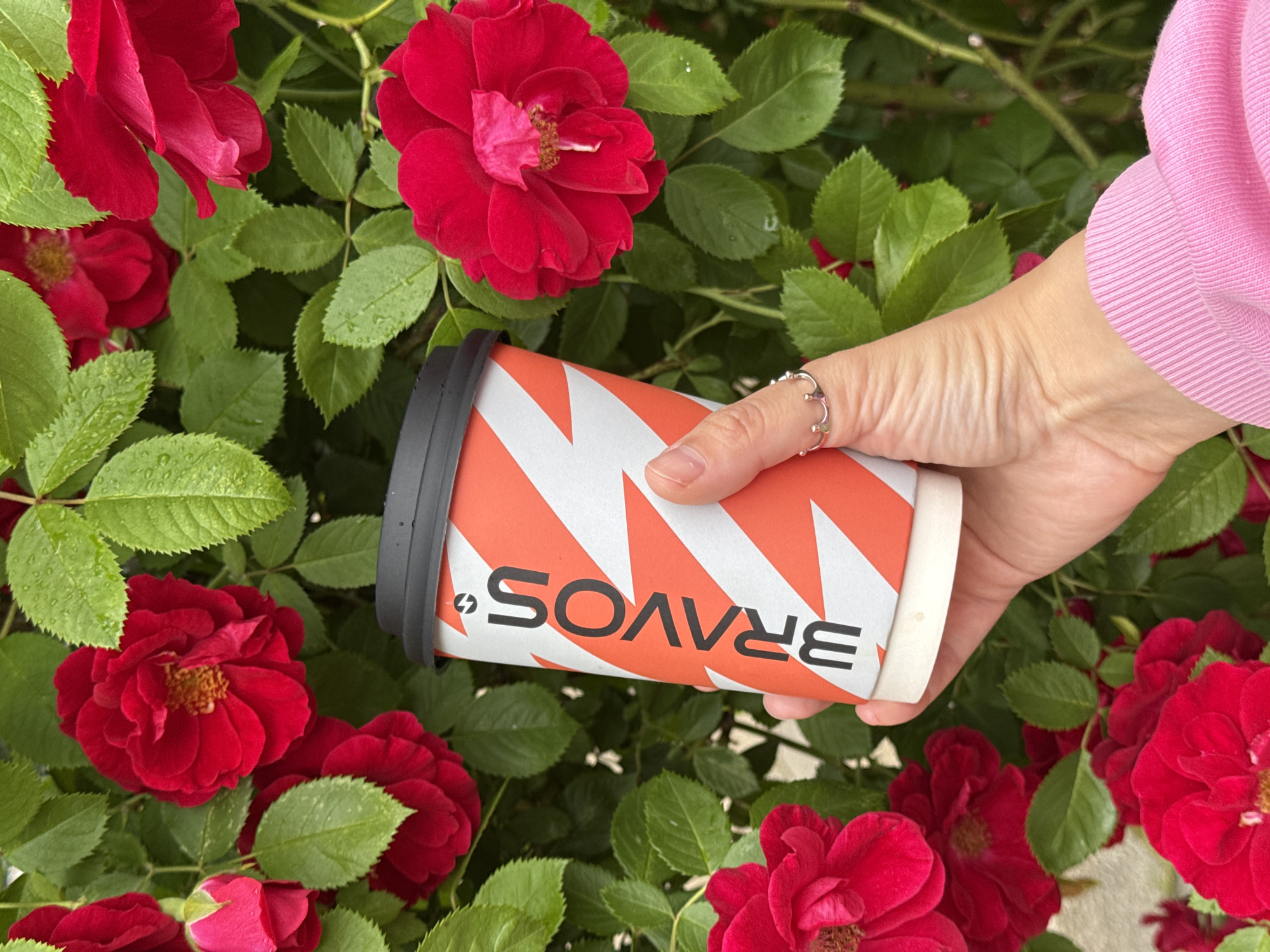 A close-up, eye-level shot features a person's left hand holding a coffee cup with the "BRAVOS" logo against a backdrop of lush green foliage and vibrant red roses. The coffee cup is white with a red and white diagonal stripe pattern. The hand wears a silver ring shaped like a crown. The person is wearing a pink hooded sweatshirt. The setting appears to be outdoors with natural lighting, suggestive of a garden or park in Chaikovsky, Russia.