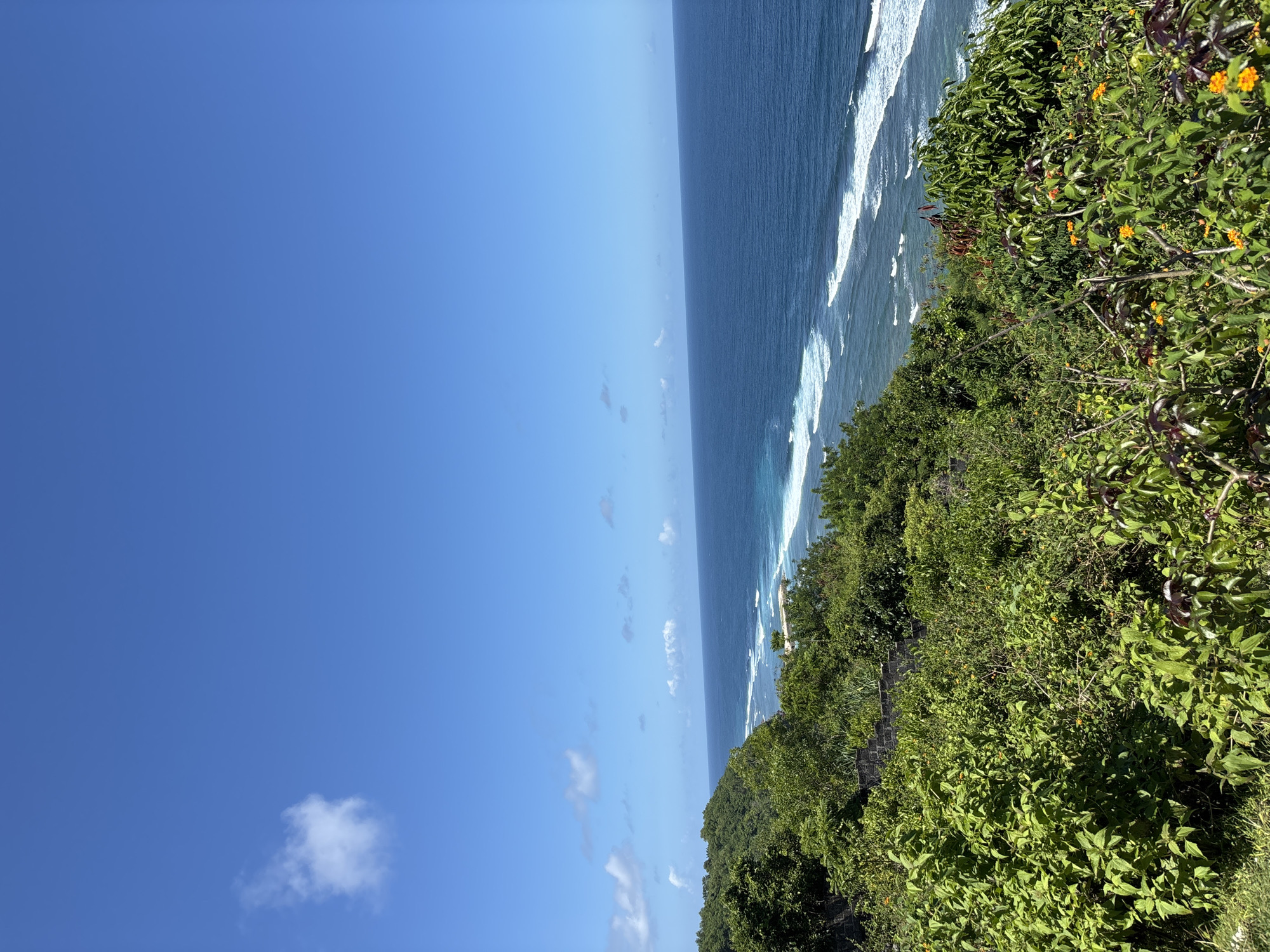 The image shows a coastal view in Kuta Selatan, Indonesia. The scene features a clear blue sky with scattered clouds over the Indian Ocean. White waves break along the shoreline, visible from a high vantage point. Lush green vegetation, including trees and flowering bushes with orange blooms, covers the foreground, suggesting a cliffside perspective. No people are visible in the frame. The composition highlights the natural environment and the contrast between the sky, ocean, and vegetation.