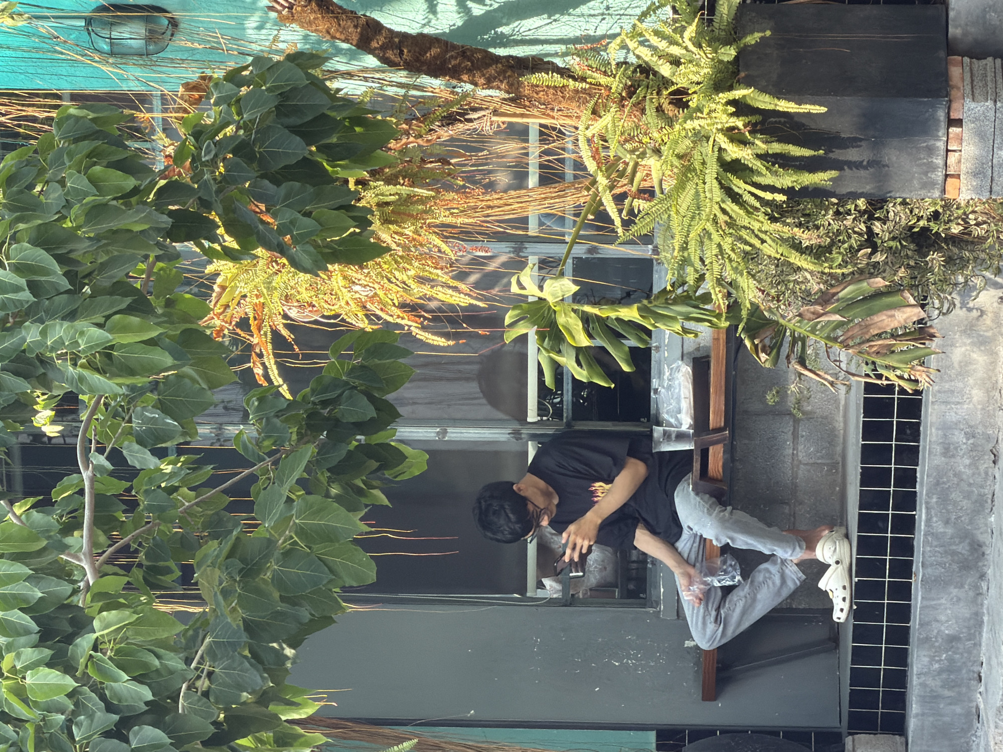A young man is sitting on a wooden bench outside a building. He is wearing a black t-shirt with a flame design, grey pants, and white clogs. He is holding a smartphone in his hands and looking down at it. Next to him on the bench is a clear plastic cup. The bench is situated in front of a dark-colored wall and a window. Overhanging the bench and the window is a tree with large green leaves and thin, hanging vines. To the right of the bench, there is a large black planter filled with ferns and other plants. The building's exterior wall to the right of the planter is painted a bright turquoise color and has a light fixture mounted on it. The overall scene suggests an outdoor seating area, possibly a cafe or restaurant, in a city environment. The lighting suggests it is daytime, with dappled sunlight filtering through the leaves.