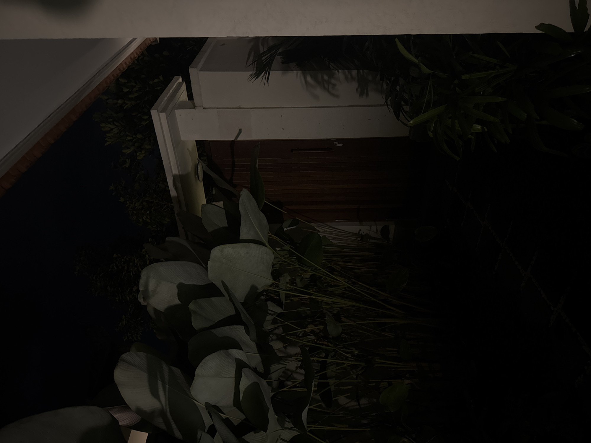 The image shows a dimly lit outdoor scene at night, possibly in Abiansemal, Indonesia. A tall wooden door with a vertical handle is visible in the center, set within a white-columned structure. To the left of the door, large, dark green leaves of a plant are prominent, casting shadows. The foreground is dark, with some greenery also visible on the right. Trees are silhouetted against a dark night sky in the background. The overall impression is one of a secluded entrance or pathway illuminated by ambient light.