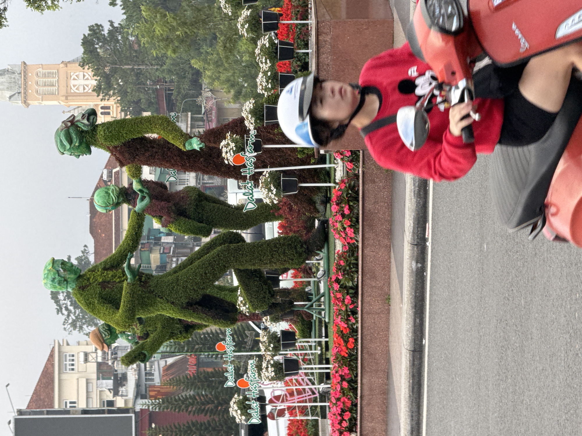 In Da Lat, Vietnam, an outdoor scene depicts a street with a focus on a large, green topiary sculpture of figures dancing. The sculpture is adorned with red and pink flowers in the foreground. Behind the topiary, a building with a tall, light-colored clock tower and other urban structures are visible. A woman wearing a red sweater with a Mickey Mouse design and a white helmet is riding a red scooter, moving from right to left in the frame. The sky is overcast. The text "Dalat Hasfarm" is visible on signage in front of the topiary.