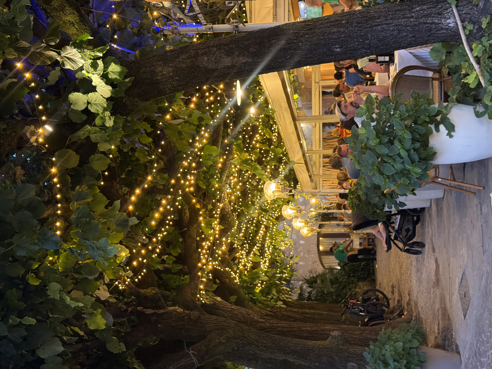 The image depicts an outdoor dining scene at night, likely in Sirmione, Italy. String lights are draped across the branches of large trees, illuminating the area and creating a festive ambiance. Several people are seated at tables, engaged in dining and conversation. A stroller is visible on the left, suggesting the presence of a family. The setting appears to be a restaurant or cafe with an outdoor seating area, characterized by trees, paved ground, and covered seating structures. The overall atmosphere is relaxed and convivial, typical of a European evening out.