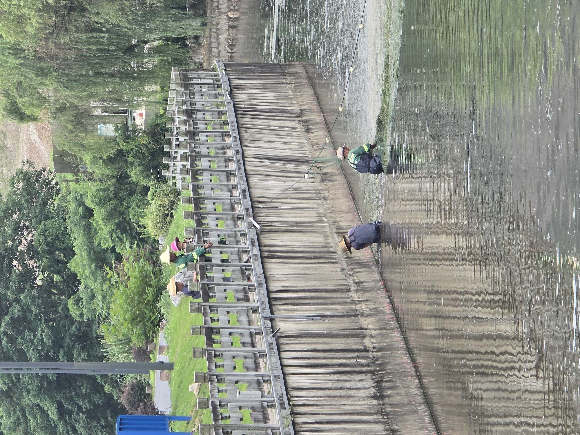 In Xihu District, China, two individuals are engaged in fishing using nets near a concrete embankment. One person, wearing a straw hat and a dark garment, is partially submerged in the water, working with a net. The other individual, also in a straw hat and a green and dark uniform, is in the water with a net, appearing to be collecting something from the water's surface. A network of ropes with buoys extends across the water, connected to their fishing equipment. Above them, a wooden railing lines the top of the embankment, and several people are visible standing on it, some wearing hats and observing the activity in the water. The environment consists of a body of water with reflections of the concrete wall and surrounding greenery, which includes trees and grass. A street light pole stands on the grassy area behind the railing, and a blue structure is visible further in the background.