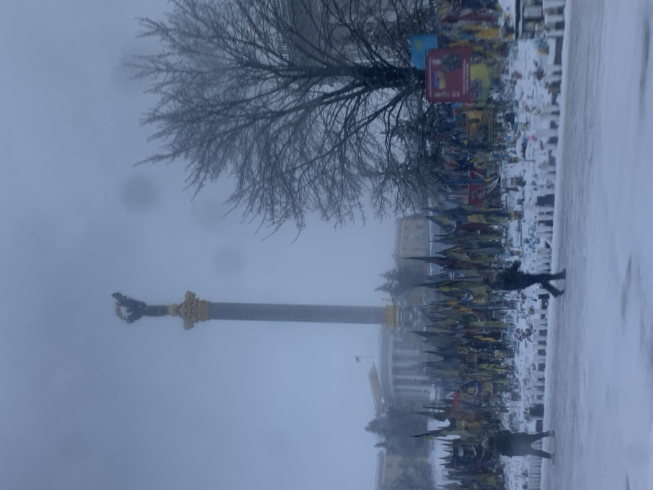 The image depicts a snow-covered urban landscape on an overcast day in Kyiv, Ukraine, specifically at Maidan Nezalezhnosti (Independence Square). In the background, the tall Independence Monument stands prominently, topped with a golden capital and a statue of a winged female figure holding a branch. Behind the monument and slightly to its left, a large classical-style building with a columned facade and a dome is visible, with a flagpole bearing a flag on its roof. To the right of the monument, a large deciduous tree with bare branches is situated, covered lightly in snow or ice.
The middle ground features a densely arranged memorial display covering a snow-dusted area. This display consists of numerous flags, primarily in the yellow and blue colors of the Ukrainian flag, along with other unit banners, planted vertically in the snow. Among the flags, smaller white objects, resembling candles or markers, are visible, interspersed with what appear to be framed photographs or memorial plaques.
In the foreground, two individuals are present on a snow-covered paved surface. On the left, one person stands still, facing towards the right. In the center, a second individual is captured mid-stride, walking from left to right. Both individuals are dressed in dark winter clothing. The overall scene is characterized by a muted color palette dominated by white snow and a grey, featureless sky, suggesting cold, winter weather conditions.