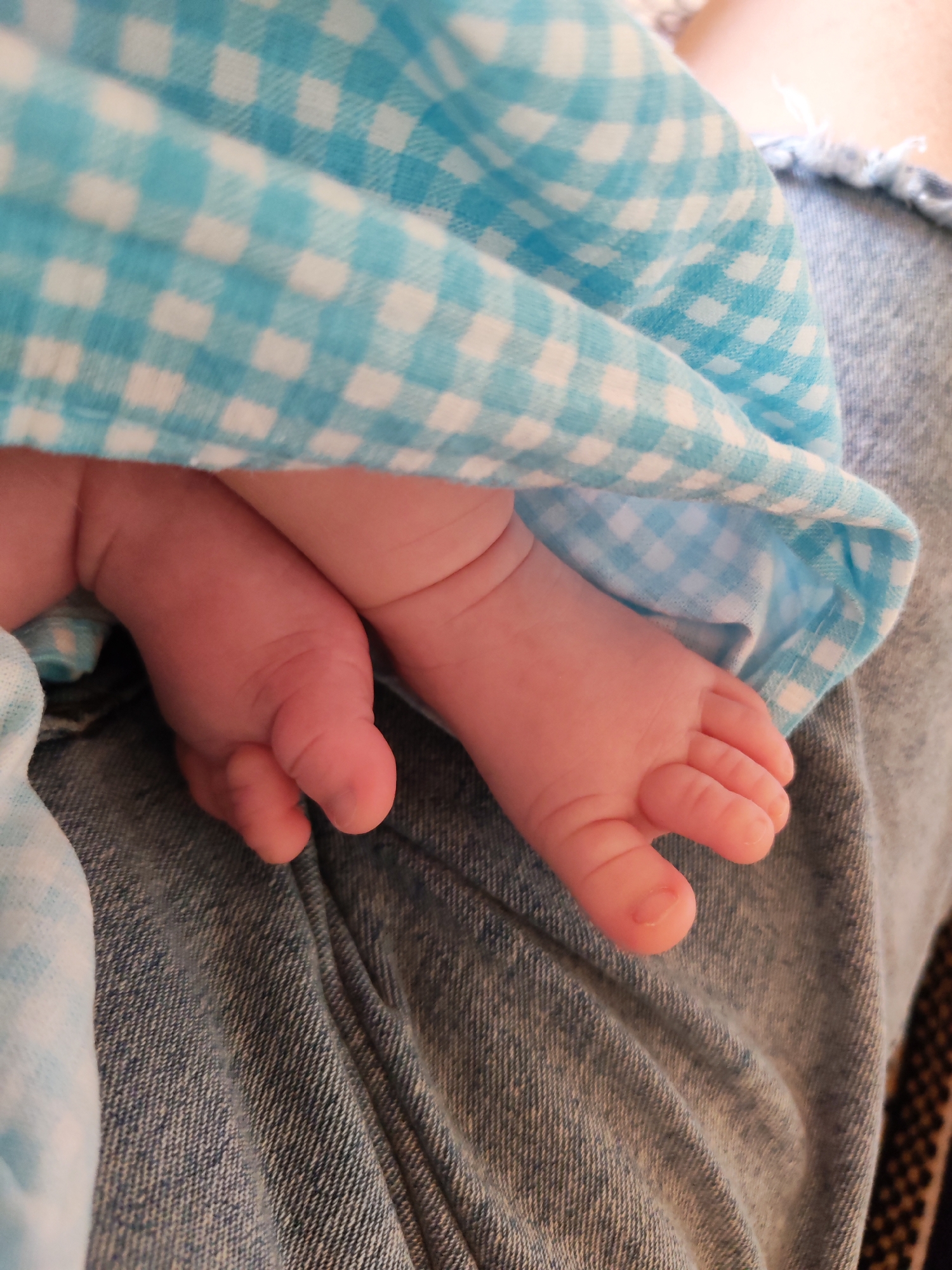 The image shows a close-up of a baby's feet peeking out from under a blue and white checkered fabric. The baby's skin is pink and smooth, with tiny toes and ankles visible. The fabric is draped over the baby, covering most of its body. The background consists of a person's legs wearing blue denim jeans. The overall impression is one of tenderness and new life.