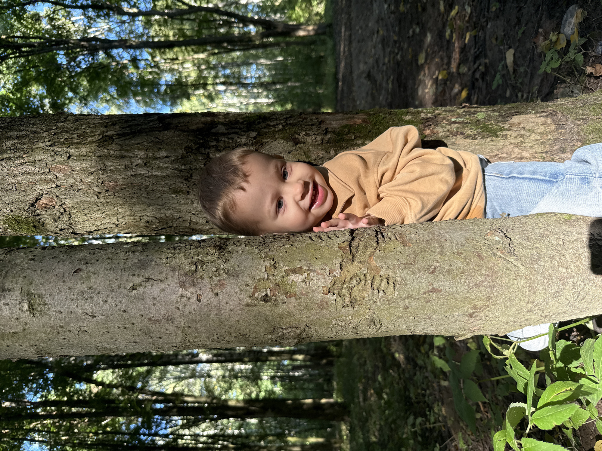 In Rusanovo, Russia, a young child is playing hide-and-seek behind two trees in a forest. The child, wearing a light brown hoodie and blue jeans, peeks out from behind the rough bark of a tree trunk, smiling and waving. Sunlight filters through the dense foliage of the surrounding trees, dappling the forest floor with light and shadow. The environment is lush and green, with a sense of natural tranquility.