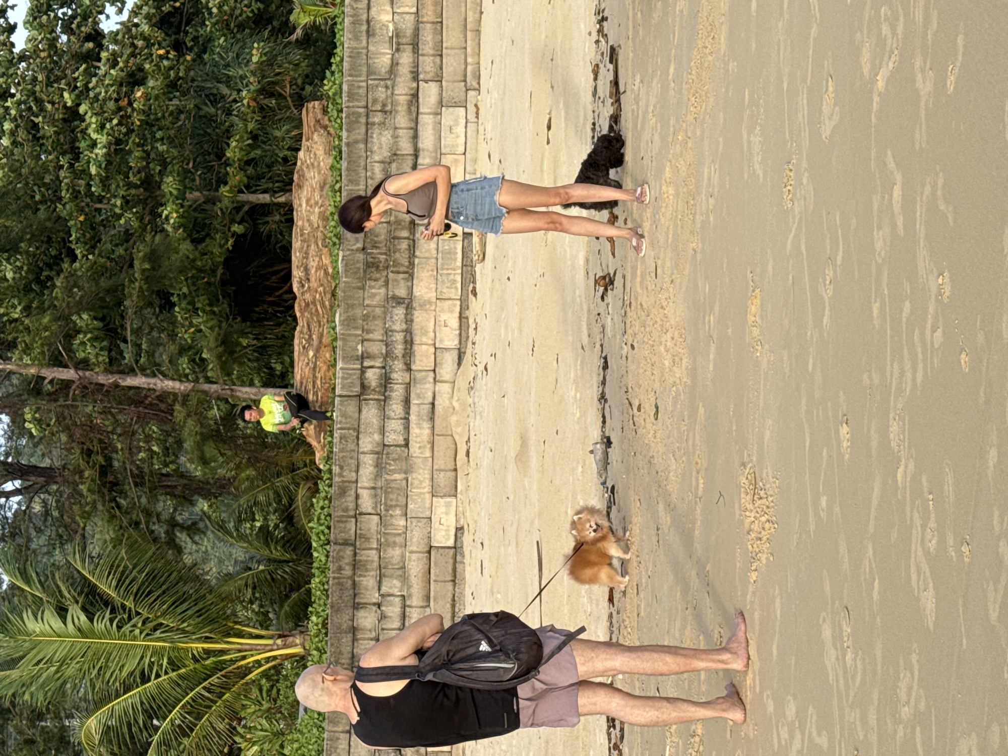 A man with a shaved head, wearing a black tank top and light purple shorts, walks his small, fluffy orange dog on a leash on the sandy beach. Behind him, a woman in a gray tank top and denim shorts stands holding a bottle. Further back, a person in a green shirt sits on a large log, with a dark-colored dog near the woman. The beach is lined with a low, stone wall, and dense tropical foliage with palm trees is visible in the background. The scene appears to be Karon Beach in Karon, Thailand, given the tropical vegetation and sandy coastline.