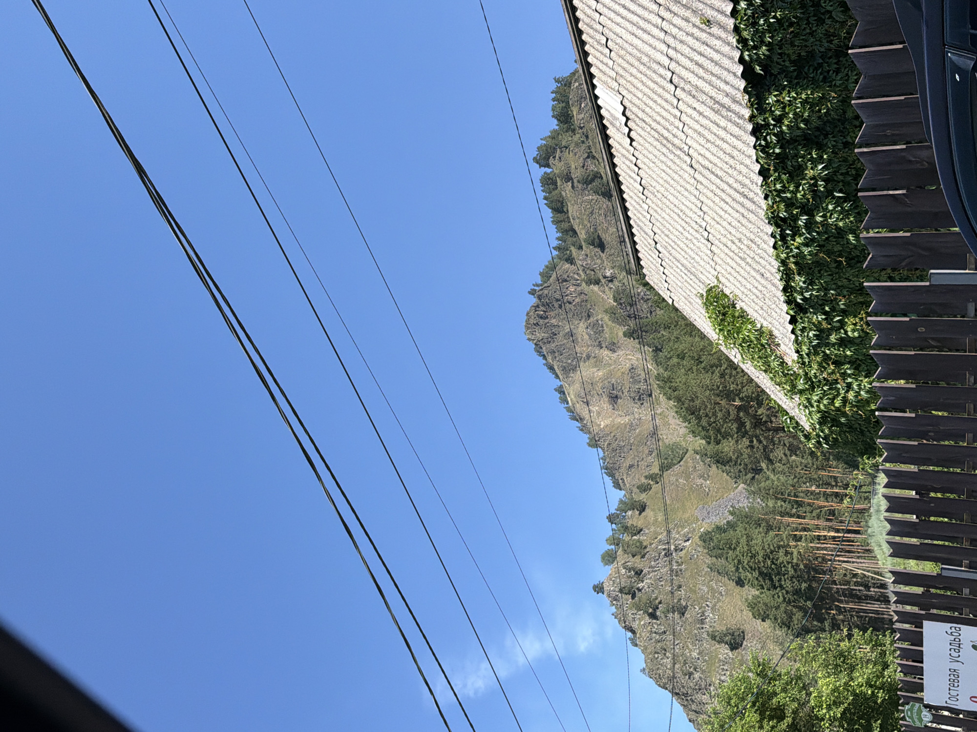 The image captures a mountain landscape with a clear blue sky. In the foreground, a dark wooden fence runs horizontally, partially obscured by the roof of a building. This building has a corrugated, light-colored roof and is covered in lush green ivy along its lower walls. Behind the building, a dense forest of tall pine trees is visible, leading up to a rocky, mountainous slope dotted with scattered trees. Power lines stretch across the upper portion of the frame. A white sign with Cyrillic text is attached to the fence, reading "Гостевая усадьба" (Guest Estate). The scene depicts a rural or semi-rural setting, possibly a resort or accommodation in the city of Uznezya, Russia. There are no people visible in the image, and no discernible actions or interactions are taking place.