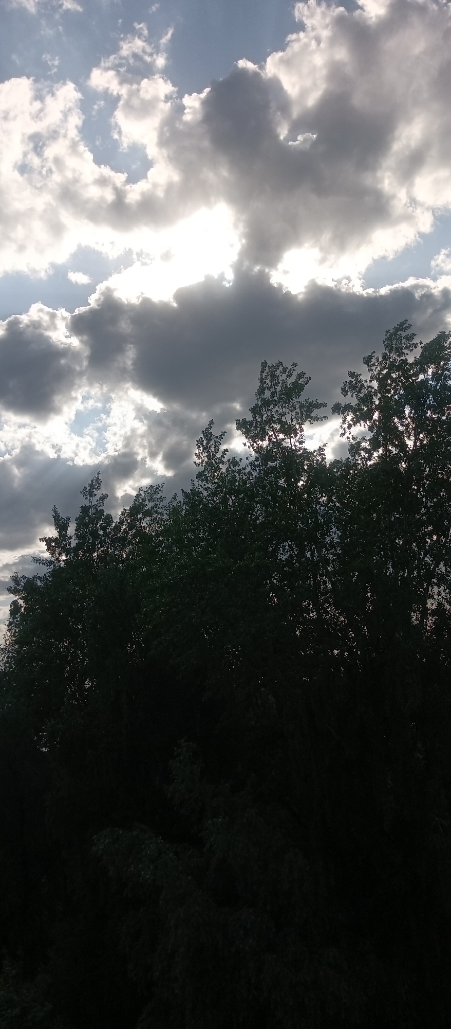 The image depicts a dark, shadowed treeline silhouetted against a sky filled with a mix of light and dark clouds. Sunlight is breaking through the clouds in various places, creating contrasting bright and dark areas in the sky. The scene is located in the city of Unknown, Unknown.
