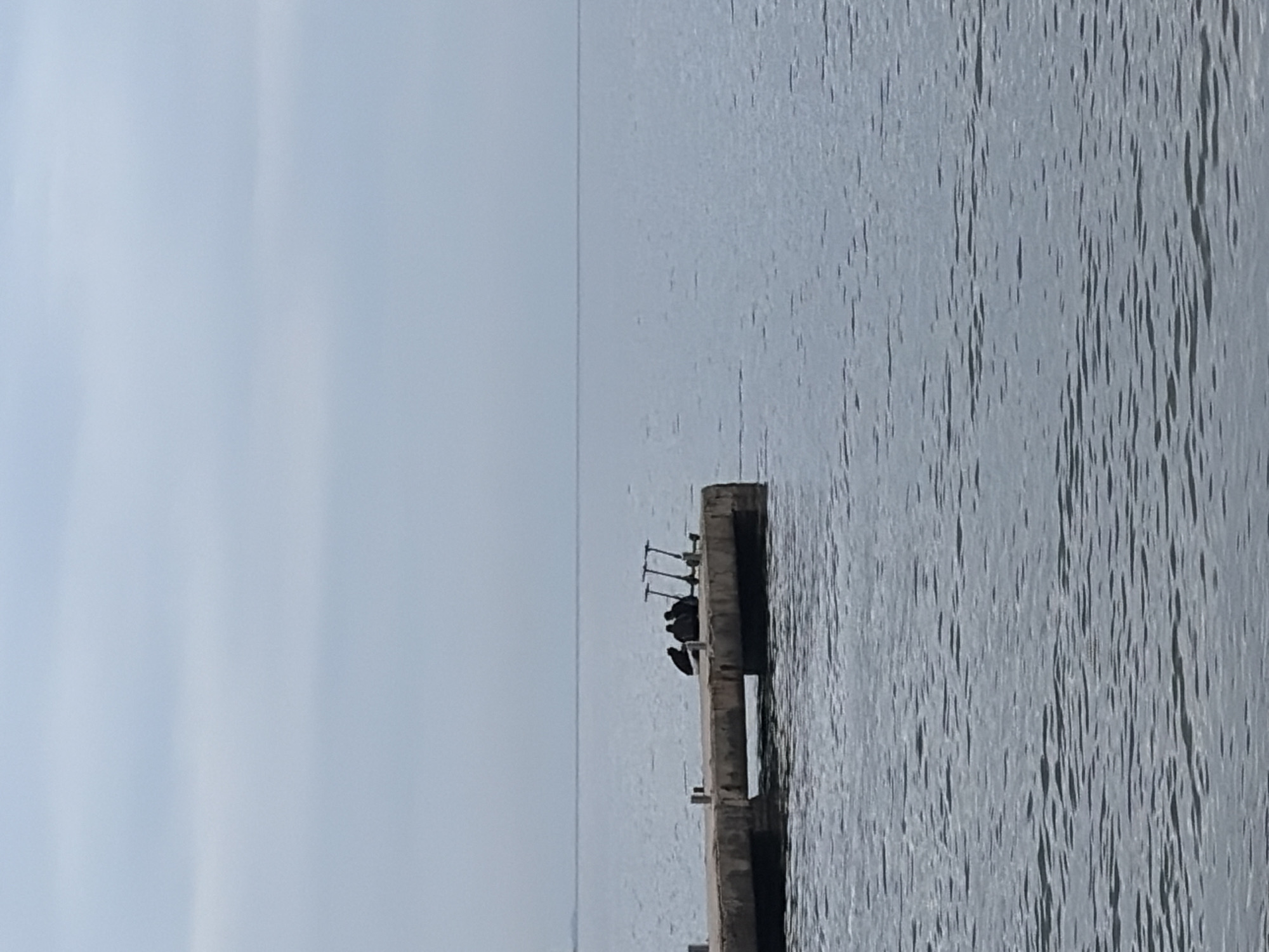 The image shows a concrete pier extending into calm, grey water under a light sky. Several dark birds are clustered on the pier. Fishing rod holders are affixed to the pier. This could be in or near Budva, Montenegro, given the presence of piers and seabirds in the region.