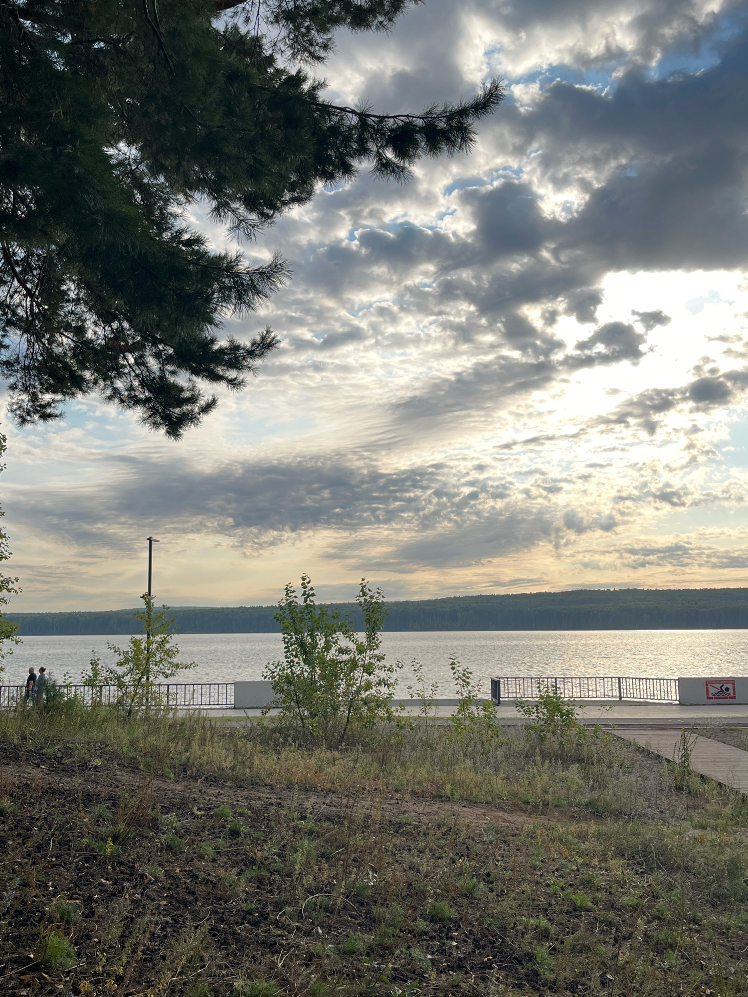 The image depicts a scenic view of the Kama River embankment in Chaikovsky, Russia. In the foreground, dry grass and some dirt cover the slope leading down to the embankment. A wooden walkway is visible on the right side. The embankment itself is lined with a metal fence, and a paved path runs behind it. Two individuals are seen walking on this path, appearing as small figures from this distance. To the left of the walkway, there is a sign with a red circle and a silhouette of a person swimming, indicating a swimming area or safety information. Scattered green bushes and trees are interspersed along the embankment.
The middle ground is dominated by the calm surface of the Kama River, reflecting the sky. On the far side of the river, a dense forest stretches along the horizon, creating a dark green band against the sky.
The sky is a significant element of the image, filled with dramatic clouds. Sunlight breaks through the clouds, creating bright patches and illuminating the water with a golden sheen. A branch of a coniferous tree hangs from the top left corner of the frame, adding a natural, framing element to the scene. The overall atmosphere suggests a late afternoon or early evening setting, with the lighting and cloud formations contributing to a somewhat dramatic and serene mood. The scene captures the natural beauty of the river and its surroundings within the urban landscape of Chaikovsky.