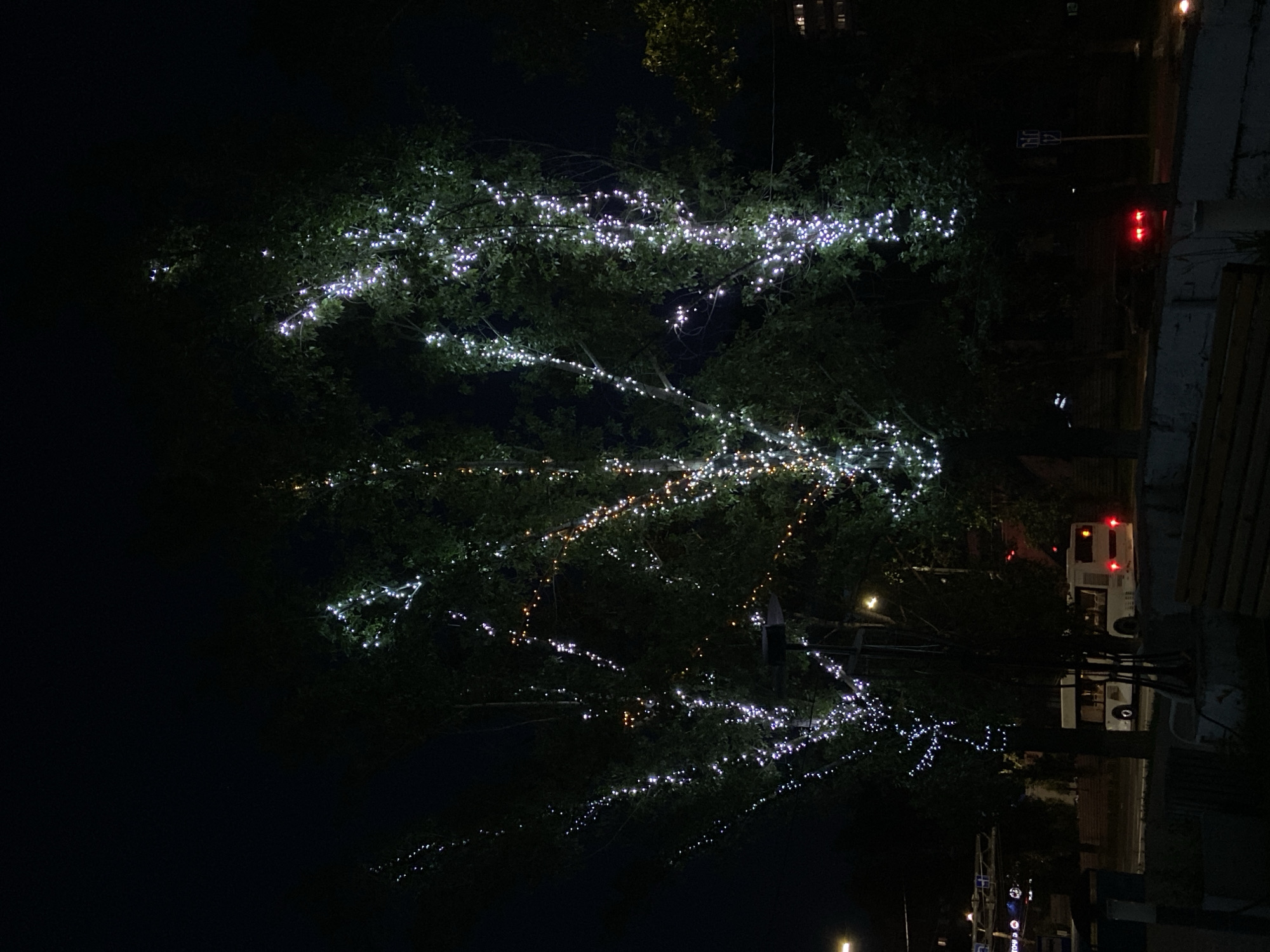 In Tolyatti, Russia, at night, trees are illuminated by strings of white and orange lights. The trees have dense green foliage. In the background, a white bus with its taillights illuminated is visible on a street. A dark-colored car with red taillights is also present on the street. The scene appears to be an urban environment with streetlights and building structures in the distance.