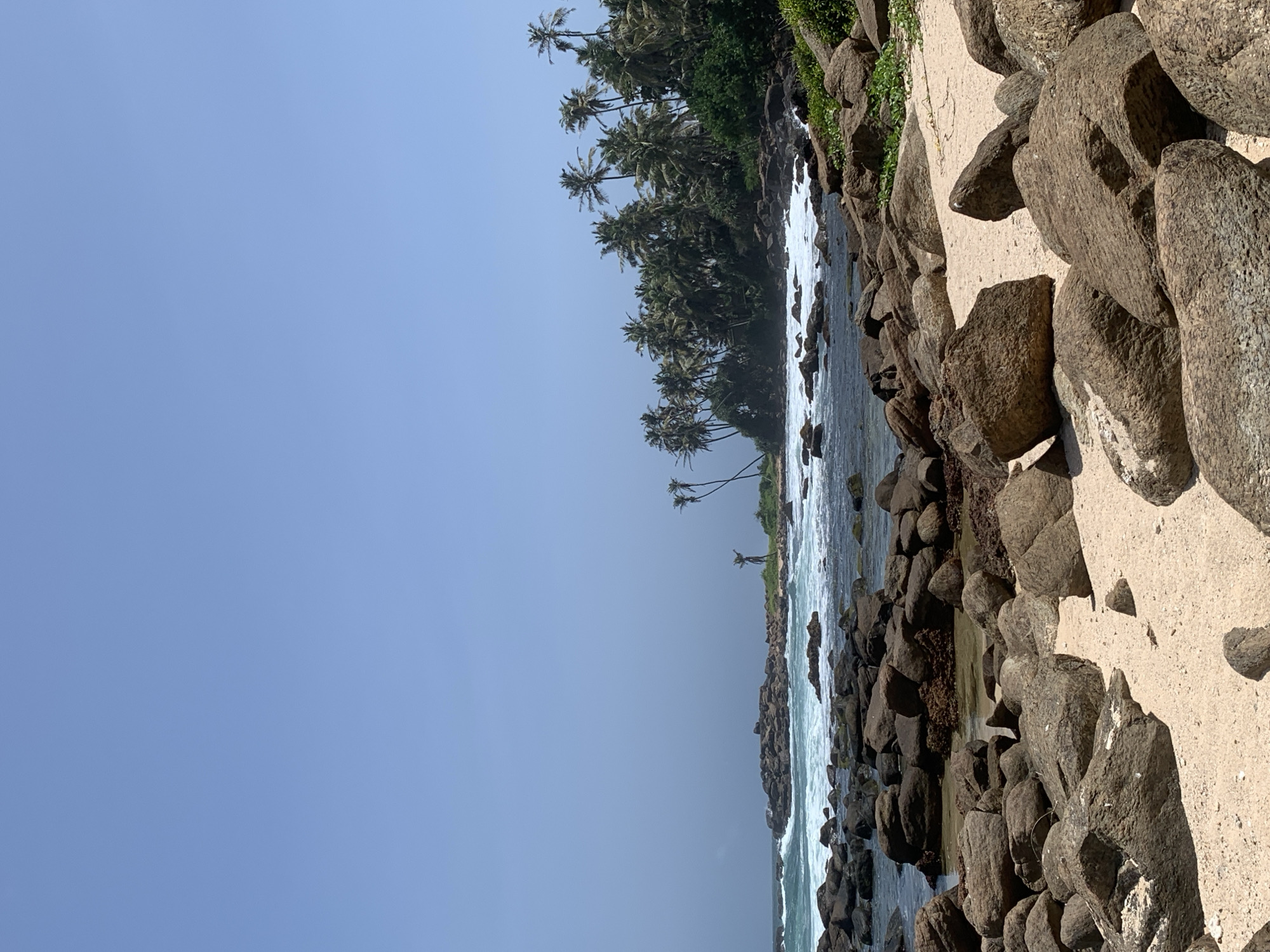 The image depicts a coastal scene in Dondra, Sri Lanka. The foreground is dominated by a sandy beach littered with large, rounded, brown rocks. Beyond the beach, the ocean stretches out, with white waves crashing against a rocky shoreline and a large rock formation in the middle distance. A line of lush green palm trees and other vegetation forms a dense barrier along the coast, with several tall, slender palm trees reaching above the rest. The sky is a clear, pale blue. A lone figure, appearing to be a person, stands on a rock formation in the distance, silhouetted against the sky.