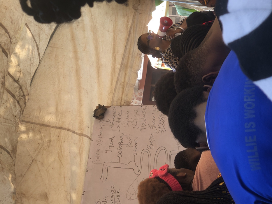 The scene depicts an outdoor educational or informational gathering under a makeshift, light-colored canvas shelter in Akpaka Forest Reser, Nigeria. A woman, positioned on the right, wears glasses, large hoop earrings, and a patterned top, actively speaking into a red megaphone. She addresses an unseen audience, whose backs and heads are visible in the foreground and midground, indicating they are facing her and a whiteboard.
The whiteboard, located on the left, displays handwritten biological diagrams and text related to the human digestive system, including terms such as "Protein -> Peptones," "Glycerol," "Oesophagus," "Stomach," "Lactase," "Maltase," "Sucrose," "Glucose," and "Erepsin." A small, dark, undefined object is attached to the top right corner of the whiteboard. Audience members include individuals with varied hairstyles, one wearing a pink headband, and another prominently in the foreground wearing a blue shirt with the white text "WILLIE IS WORKING" printed on the back. Daylight illuminates the scene, with some distant green foliage and structural elements visible beyond the shelter.