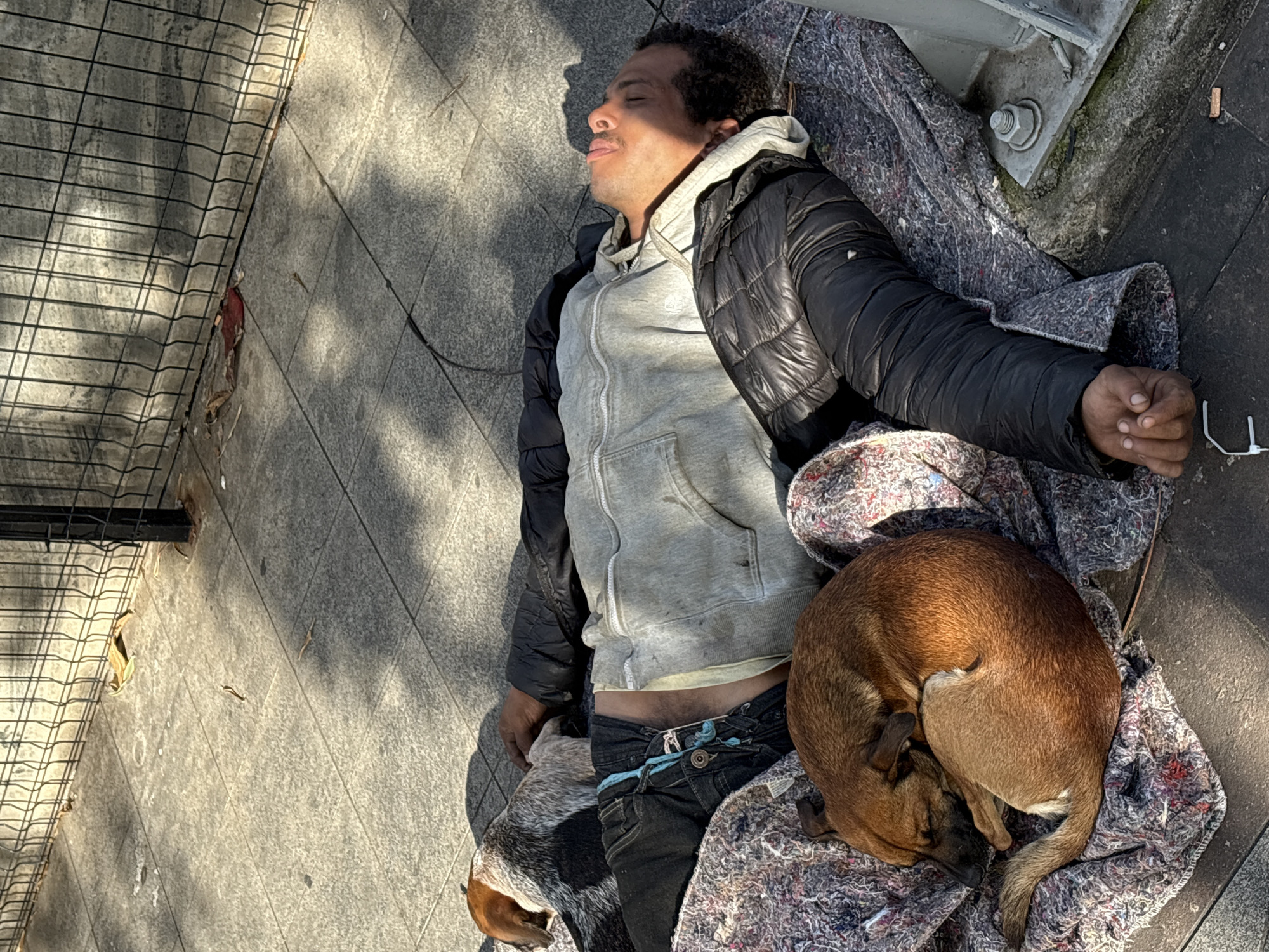 A man and his dog are sleeping on the sidewalk in São Paulo, Brazil. The man is lying on his back with his eyes closed, and the dog is curled up beside him, also asleep. Both are covered with blankets. The scene appears to be set during the daytime, with sunlight casting shadows on the ground. The man is wearing a black puffer jacket over a gray hoodie, dark jeans, and a light-colored t-shirt. The dog is a medium-sized, tan-colored dog. The surrounding area seems to be a public space with a paved surface and a metal fence or grating in the background. There are no visible text elements in the image. The overall mood of the image is one of vulnerability and quiet repose.