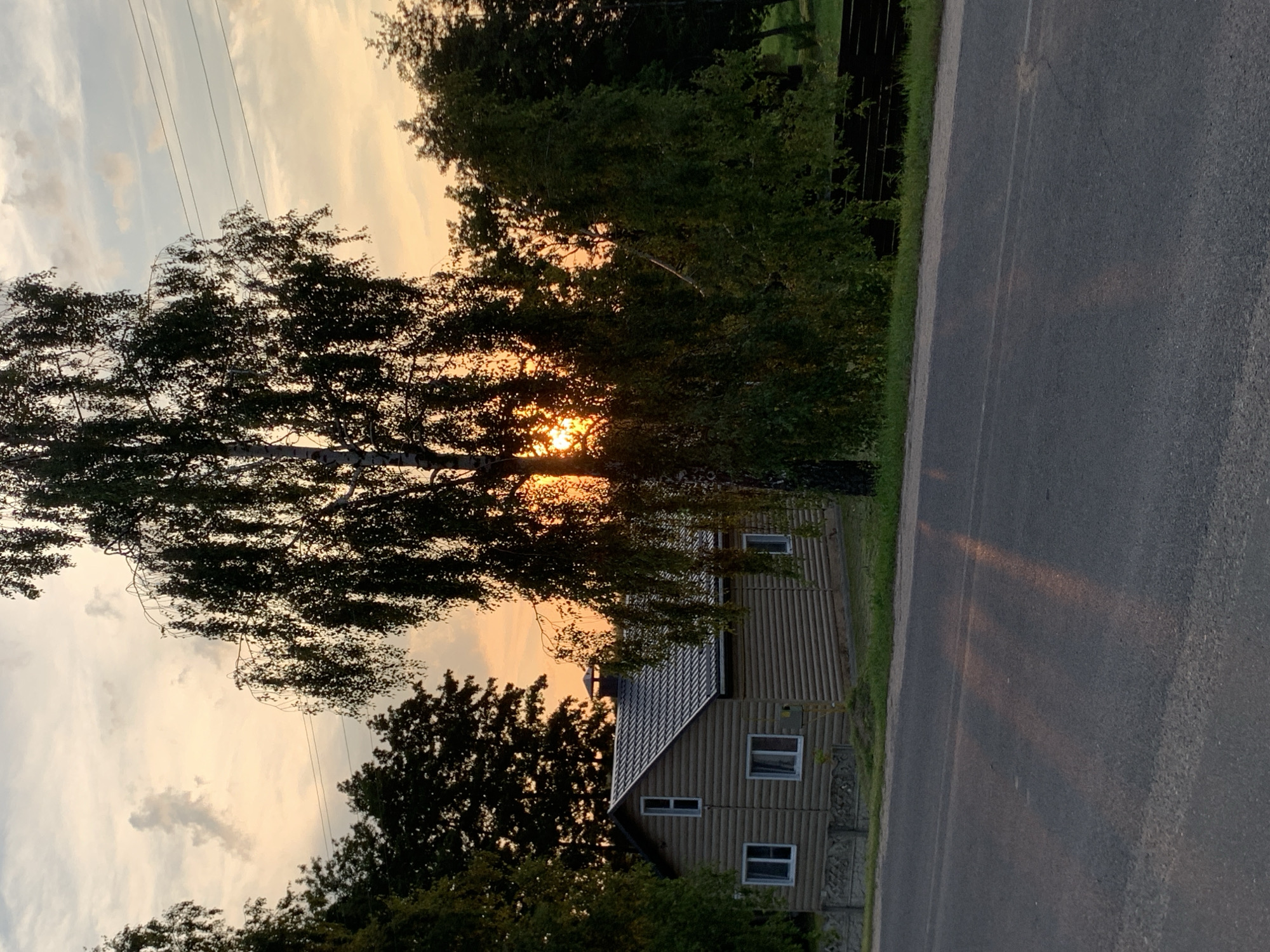 The image depicts a wooden house with a dark, tiled roof situated near a paved road. The house has several white-framed windows and a chimney. In front of the house, a concrete fence separates it from the road. A large birch tree with delicate leaves partially obscures the view of the house and the setting sun, which casts an orange glow through the branches. The sky is a gradient of pale yellow and soft orange, with scattered clouds. The foreground shows the asphalt road reflecting the sunset light, creating streaks of color. The surrounding environment is lush with green trees and grass. The scene is captured in Kapyĺ, Belarus, suggesting a rural or suburban setting during dusk. There are no people or animals visible in the image.