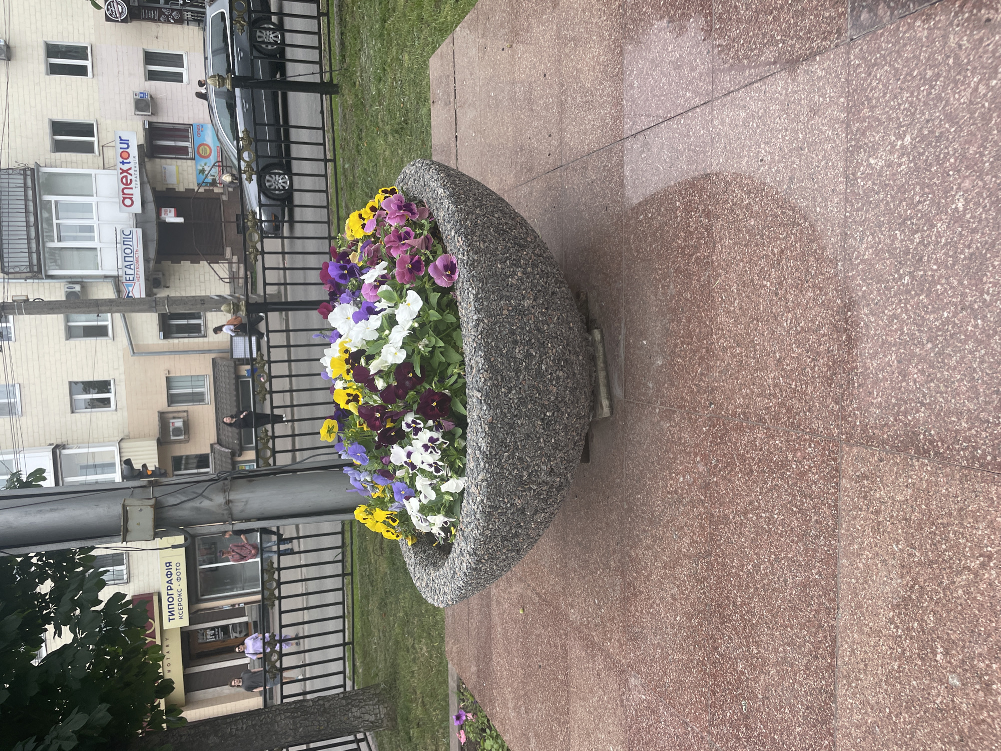 The image depicts an outdoor urban scene in Unknown, Unknown. In the foreground, a large, textured concrete planter is filled with a vibrant assortment of colorful flowers, including yellow, purple, white, and deep red pansies. The planter sits on a red granite tiled surface, which appears slightly wet and reflective. Behind the planter, a black metal fence encloses a grassy area. Beyond the fence, a street is visible with a grey station wagon parked. In the background, buildings line the street. One building features signage for "ТИПОГРАФІЯ" and "NOTARY" on the left, and "ЕГАПОЛІС" and "anextour" on the right. Several individuals are present, including a woman walking on the sidewalk on the far left, a group of people near the "ТИПОГРАФІЯ" storefront, and two people near the "anextour" signage. A traffic light with an amber light illuminated is visible on a pole in the center-left of the frame. The overall impression is a lively street view with commercial establishments and pedestrian activity.