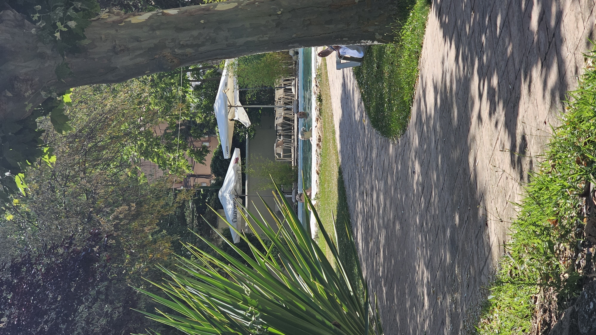 The image depicts an outdoor scene at a leisure facility in Alhama De Aragón, Spain, likely a hotel or spa. In the foreground, a paved pathway winds to the right, bordered by green grass and dappled shade from overhead trees. To the left, a large, spiky green plant dominates the foreground.
In the mid-ground, a swimming pool is visible. Several people are in the pool, with their heads and shoulders above the water, appearing to relax. Two large white umbrellas are set up near the pool, providing shade. Beneath the umbrellas, tables and chairs are arranged, suggesting an outdoor seating area. In the background, a building with a light-colored facade and windows is partially visible, surrounded by trees. On the right side of the image, a person is seated in a white lounge chair, partially obscured by a large tree trunk. The overall impression is a peaceful, sunny day at a recreational area.