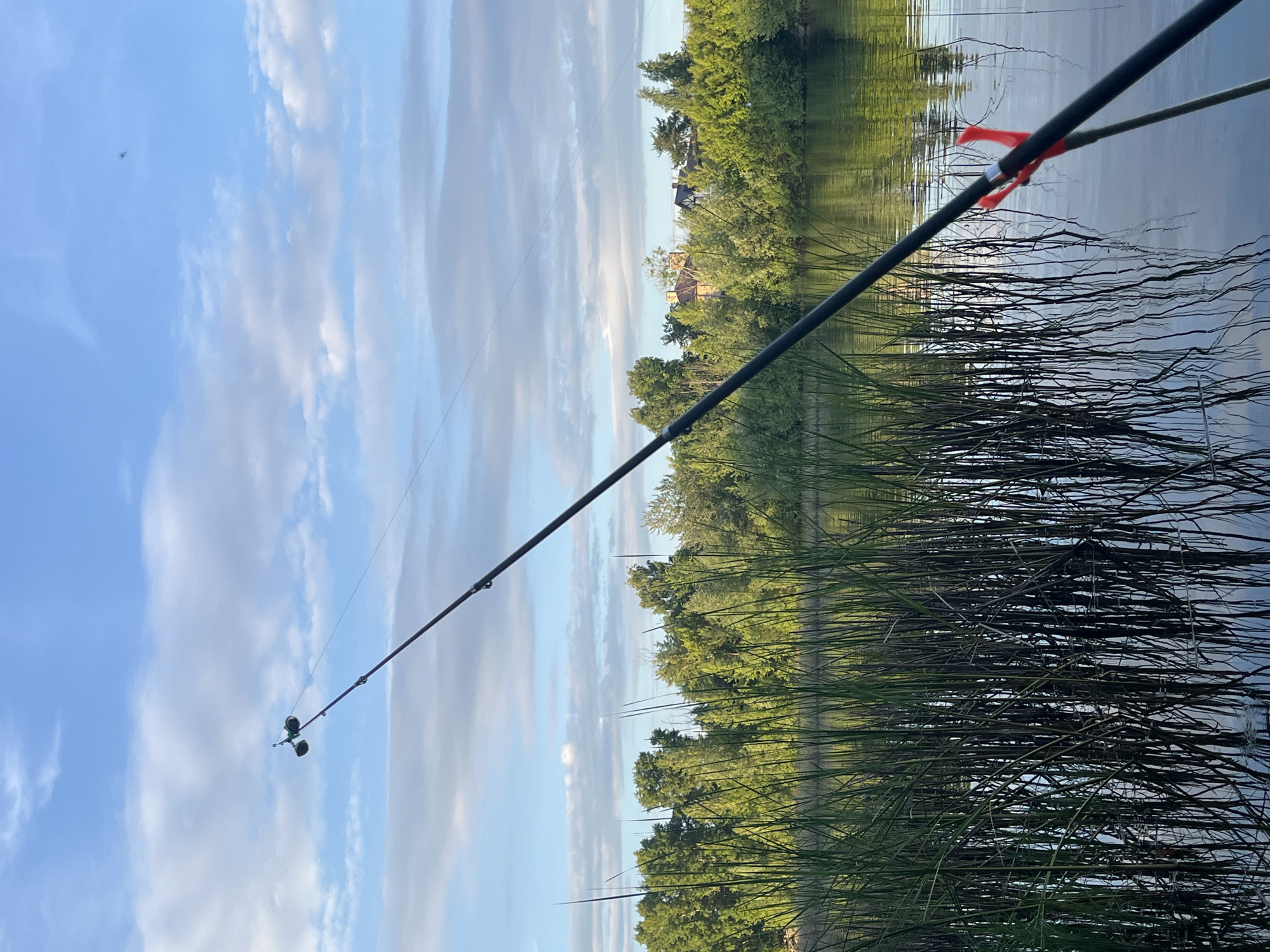 This image captures a serene outdoor scene, likely at a lakeside or riverbank in Васильево, Russia. The dominant subject is a black fishing rod extending diagonally from the lower left to the upper right of the frame, poised over calm water. A fishing reel is visible near the top left end of the rod, and a bright red indicator is attached further down the rod, closer to the water. Another thinner rod or support is also partially visible behind the main rod.
The setting features a clear blue sky with scattered white, wispy clouds. The horizon is marked by a lush line of dense green trees on the opposite bank of the water body. Peeking through and above these trees, the roofs and upper sections of a few traditional-style houses or buildings can be seen, suggesting a settlement nearby. The water's surface is relatively still, reflecting the sky and the trees, creating a peaceful mirrored effect. In the immediate foreground, dense, tall, dark green reeds or marsh grass emerge from the water, partially obscuring the water's edge and adding texture to the scene. A small, dark speck, possibly a bird or distant aircraft, is faintly visible in the sky.
The primary activity suggested is fishing, with the rod actively deployed over the water. The soft, even lighting, without harsh shadows, indicates either early morning or late afternoon, creating a tranquil atmosphere. The weather appears clear and pleasant, conducive to outdoor recreation. There is no visible text in the image.