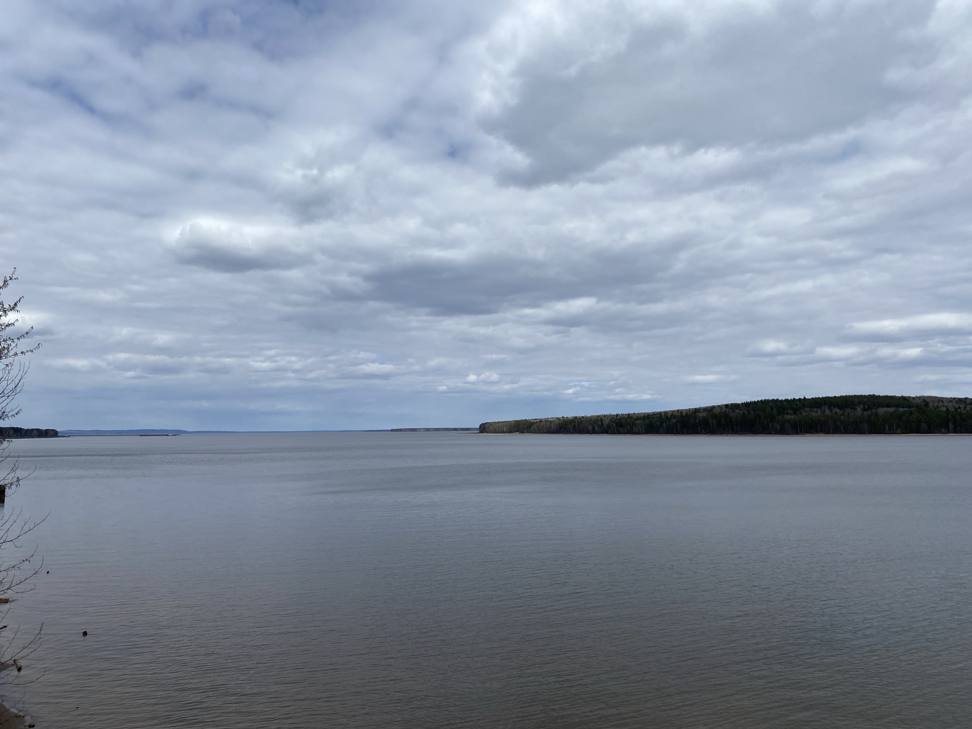 The image shows a wide expanse of water under a cloudy sky. The water is calm with slight ripples. In the distance, a shoreline is visible with a dense forest running along it. The overall color palette is muted, with shades of gray, blue, and brown dominating the scene. Some bare tree branches are in the bottom left corner. The location is likely near the city of Chaikovsky, Russia, based on the prompt.