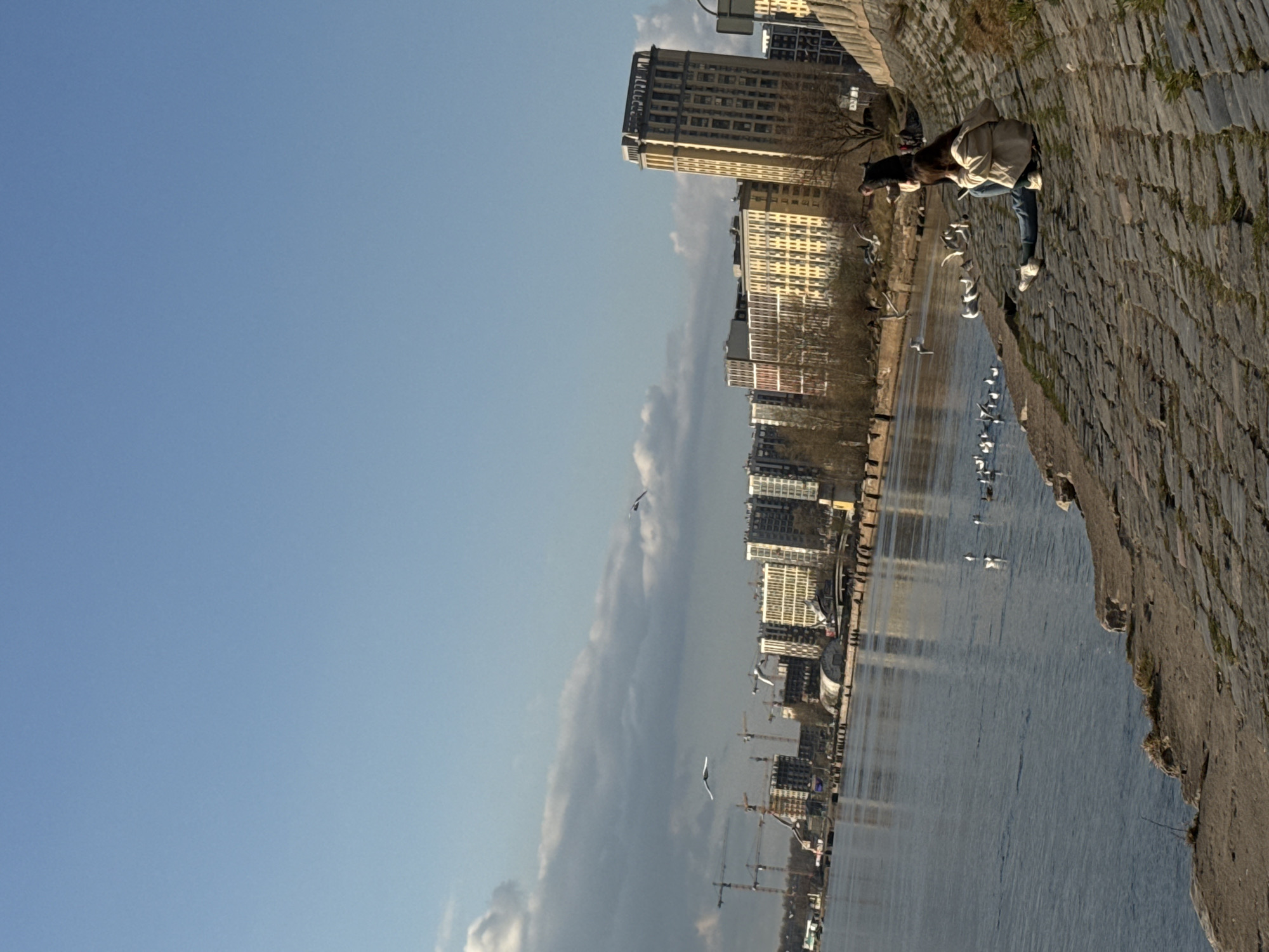 The image depicts a waterfront scene in Saint Petersburg, Russia. A body of water, likely the Neva River, occupies the majority of the lower right of the image. Along the water's edge on the right is a stone embankment. A woman stands on the embankment and appears to be observing or interacting with a flock of birds. Her clothing consists of a light-colored jacket, jeans, and sneakers. In the background, a row of buildings stands along the waterfront, including several modern high-rise structures. Cranes are visible amongst the buildings. The sky above is predominantly blue with some scattered clouds. Several birds are in flight above the water.