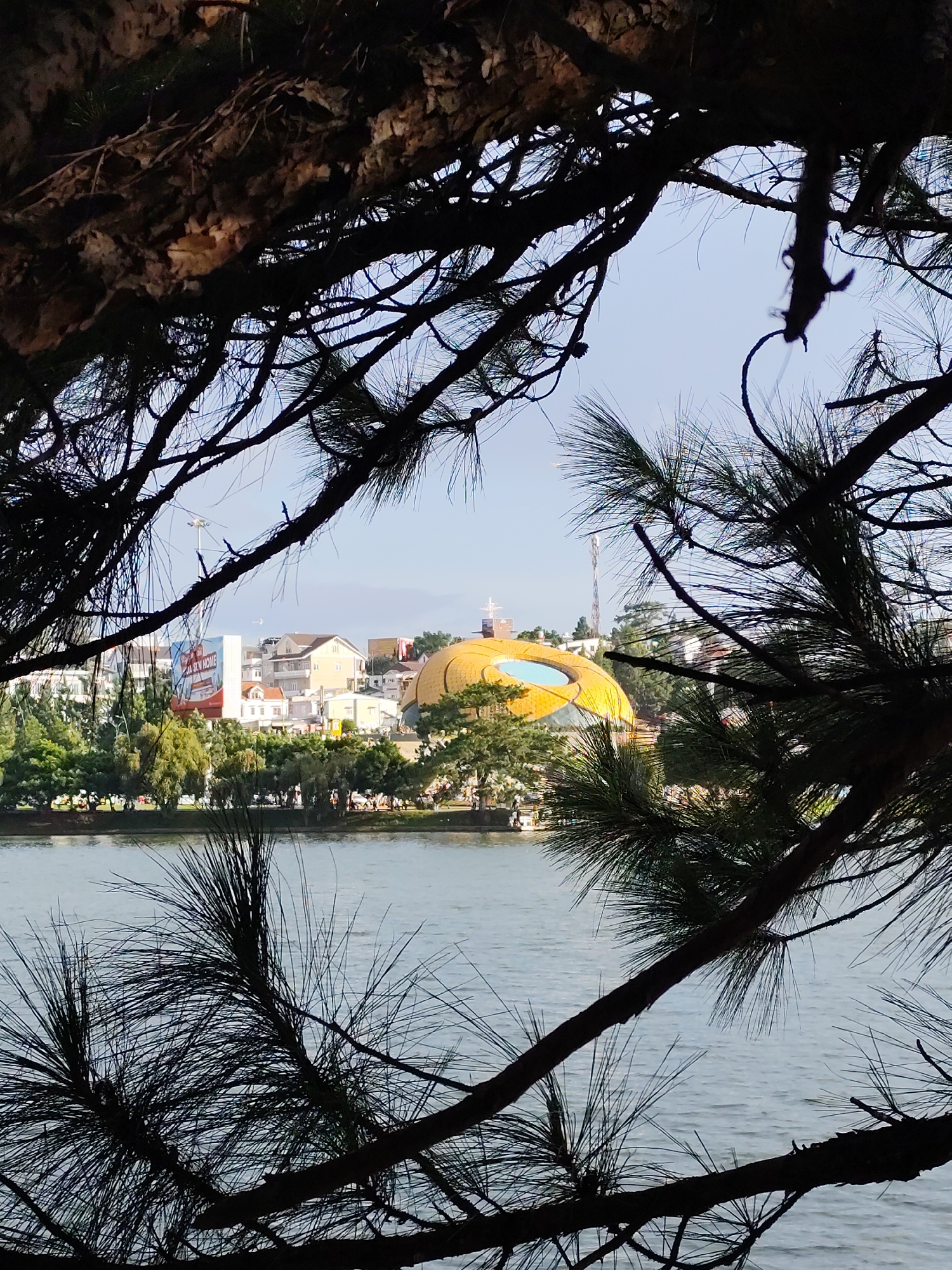 Through the dark silhouette of pine tree branches, the city of Xuan Huong Lake in Da Lat, Vietnam, is visible. In the background, a golden, dome-shaped structure with a circular blue opening is prominent, set against a backdrop of buildings and lush green trees. The foreground is dominated by the natural elements of the pine tree, with its needles and branches partially obscuring the view. The body of water in front of the cityscape reflects the sky and surrounding environment, creating a serene atmosphere. A few people are scattered along the lakeshore, adding a sense of scale to the scene. The sky is a clear, pale blue, indicating fair weather.