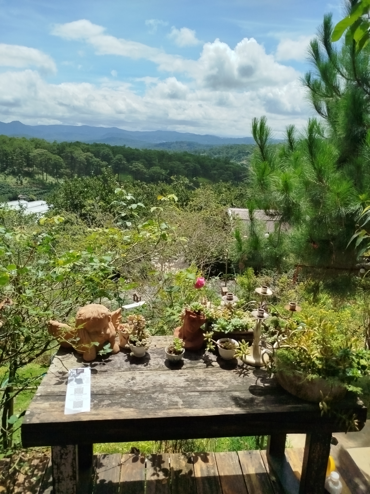 The image depicts an outdoor scene with a wooden table in the foreground, laden with potted plants and decorative figurines. A light blue sky with scattered white clouds forms the backdrop, above a lush, green landscape of trees and hills. The setting appears to be a tranquil spot, likely a garden or a terrace with a scenic view. The presence of plants suggests a natural or cultivated environment. The image does not provide specific indicators of the city of Trường An, Vietnam, beyond a general impression of a hilly, forested region with a temperate climate. No people are visible in the image, and no actions or interactions are taking place. The focus is on the arrangement of objects on the table and the surrounding natural scenery.