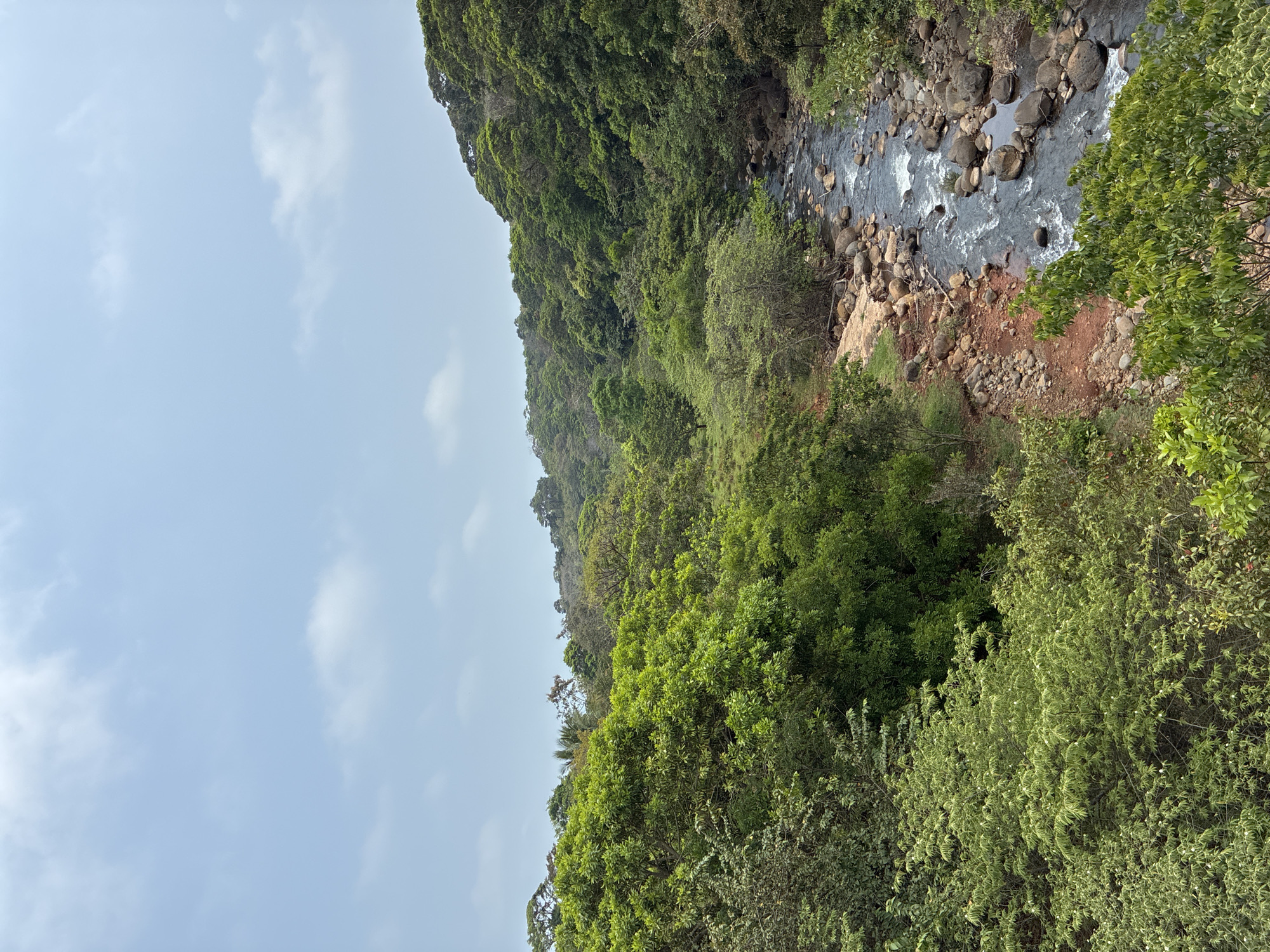 The image captures a natural scene in Pajapan, Mexico. The right side of the image shows a river with visible water flow and numerous rocks of varying sizes. The riverbank consists of red soil. The rest of the land, and the background of the image, is covered with dense green trees. The sky is visible in the upper left corner, revealing a pale blue hue with scattered white clouds. No people or animals are visible in the image.