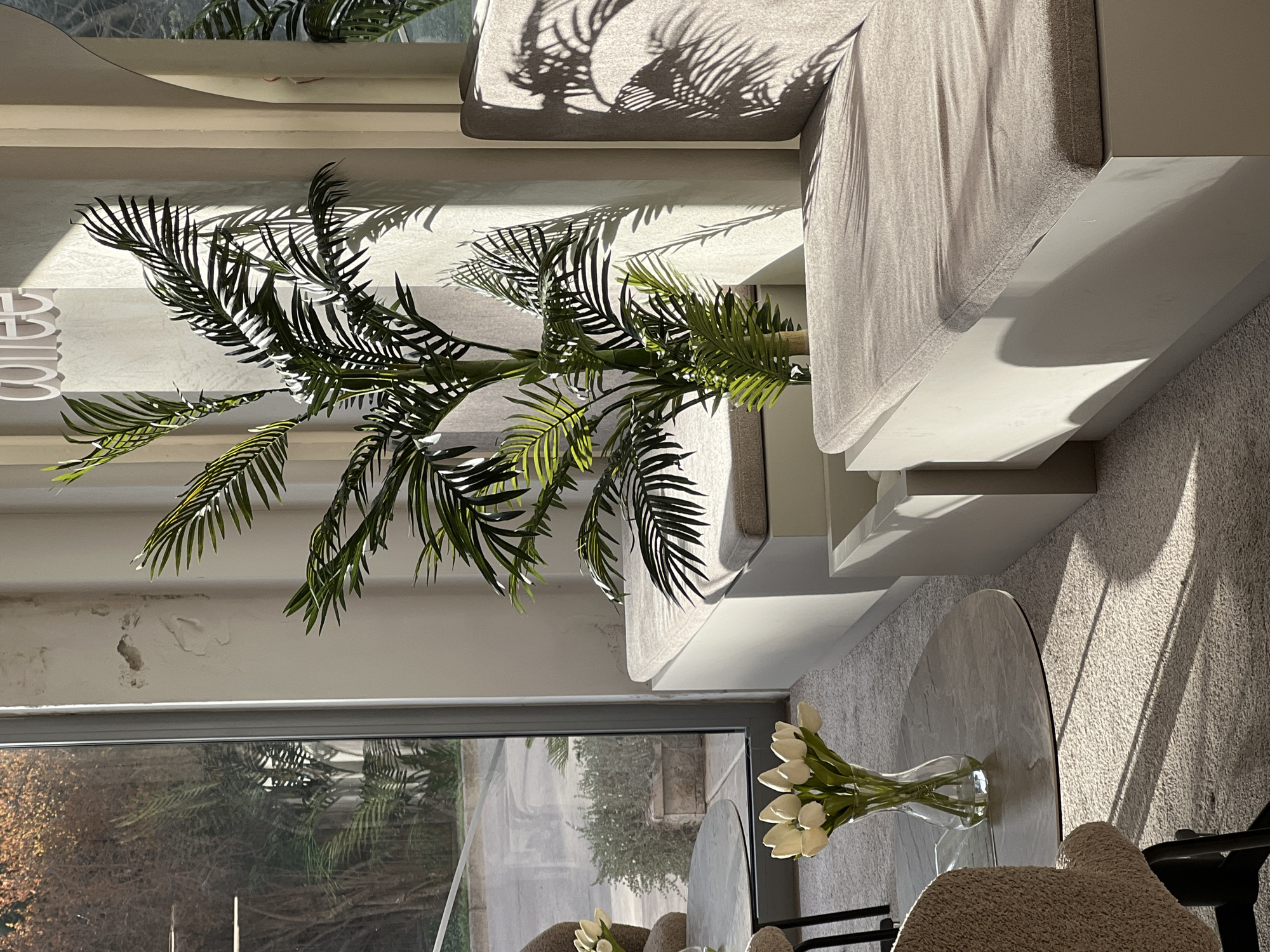 The image shows an interior scene in a room with natural light. A potted palm tree is placed near a window that reflects an outdoor scene with trees and foliage. A beige-colored sofa with sharp lines is positioned alongside the wall where the palm is. A round coffee table with a bouquet of white tulips in a clear vase sits in the foreground. Two chairs with beige upholstery can be seen behind the table. The sun casts shadows of the palm fronds onto the sofa and the wall near the window. The image does not show the location in the city of Budva, Montenegro.
