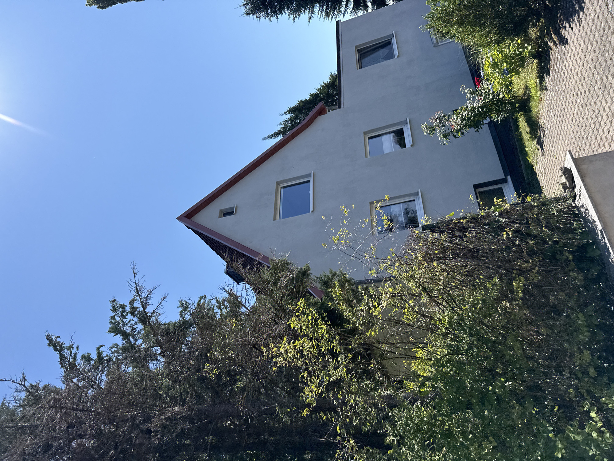 In the city of Bad Sachsa, Germany, a modern, light-gray building with a red-trimmed roof is partially obscured by lush green trees and bushes. The building features several rectangular windows, with some appearing to reflect the clear blue sky. A small, leafy tree with red flowers is visible in the foreground, alongside other greenery. The ground is paved with interlocking gray stones. The sun is shining brightly, casting shadows and illuminating the scene.