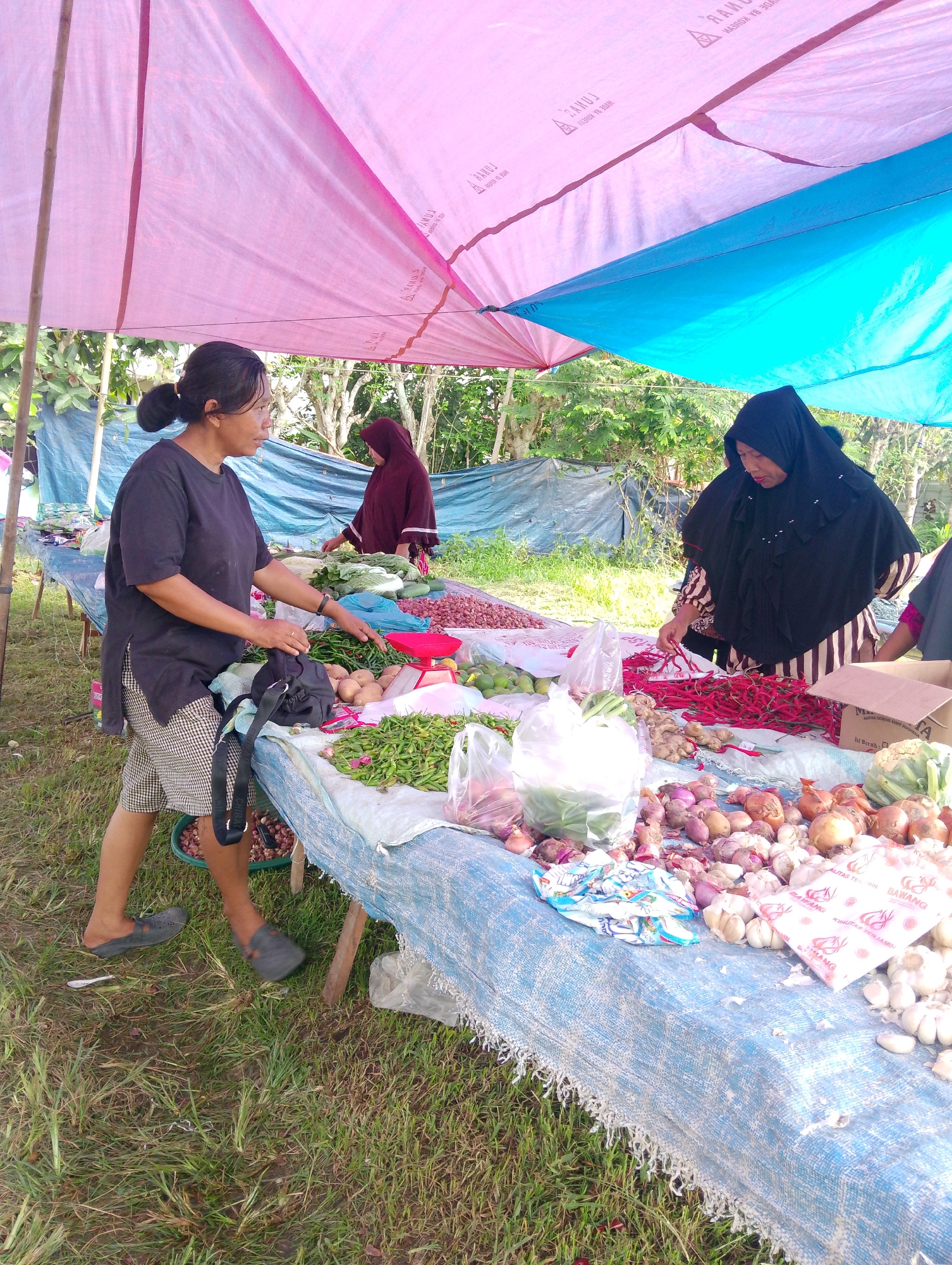 The image shows an outdoor market stall beneath a pink and blue tarp. A woman wearing a black t-shirt and plaid shorts is standing behind a table laden with vegetables, holding a black bag. To her right, another woman in a black hijab is arranging red chili peppers on the table. Various produce, including onions, garlic, chilies, and what appear to be potatoes, are displayed on the table. In the background, a third woman in a maroon hijab is visible. The market appears to be in a rural or semi-rural setting, with trees and vegetation surrounding the stall. The ground is covered in grass. The location is identified as the city of Serbelawan, Indonesia.