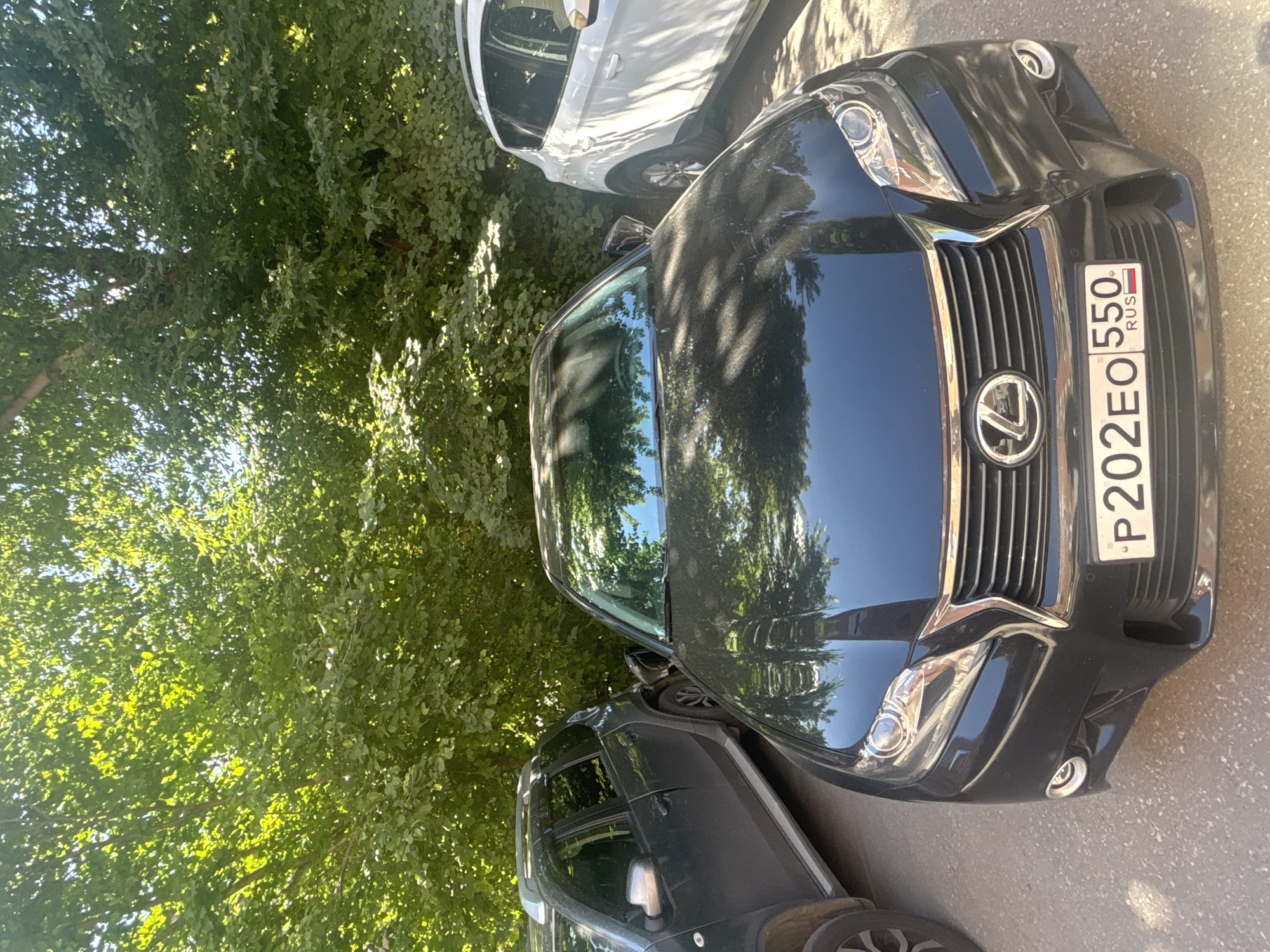 A black Lexus sedan is parked in front of lush green trees. A dark gray SUV is parked to the left of the Lexus, and a white SUV is parked to the right. The ground is paved with asphalt and gravel, and sunlight filters through the leaves of the trees, casting dappled shadows on the vehicles. The license plate of the Lexus reads "P202EO 550 RUS".