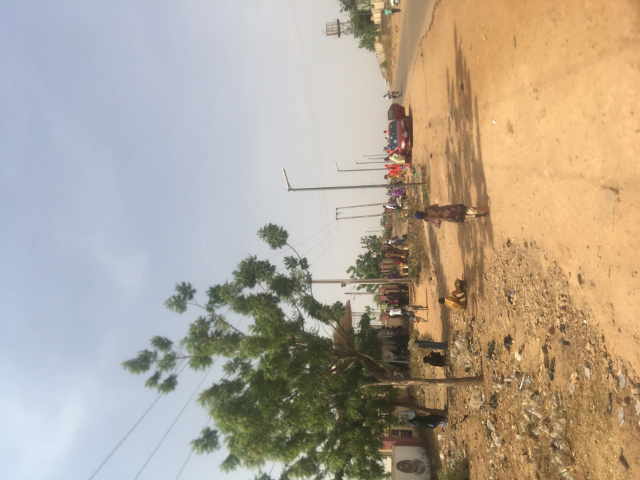 The image depicts a semi-urban scene in Pindiga, Nigeria, characterized by a mix of dirt and paved surfaces under a hazy, pale blue sky. In the foreground, dry, reddish-brown earth covers the lower left, scattered with debris including plastic and small rocks. A large, verdant deciduous tree stands prominently on the far left, partially obscuring a building with a white facade.

Numerous individuals are present throughout the scene. In the immediate foreground, a child wearing a brown patterned garment walks away from the viewer, while another child in yellow sits on the dirt ground further left. A group of approximately 20-30 people, many in brightly colored attire, are gathered in the midground, both under the large tree and further right along a paved road. A light-colored dog is visible among the people in the midground.

To the right, a paved road stretches diagonally into the distance. A red sedan is parked on the shoulder of this road, with its driver's side door open, and several individuals are clustered around it. Further down the paved road, a person on a motorcycle is visible. A series of modern streetlights, each with a solar panel, line the paved road. In the distant background on the right, a tall metallic water tower with a cylindrical tank is visible against the horizon. Overhead, multiple utility poles with power lines traverse the upper portion of the frame.