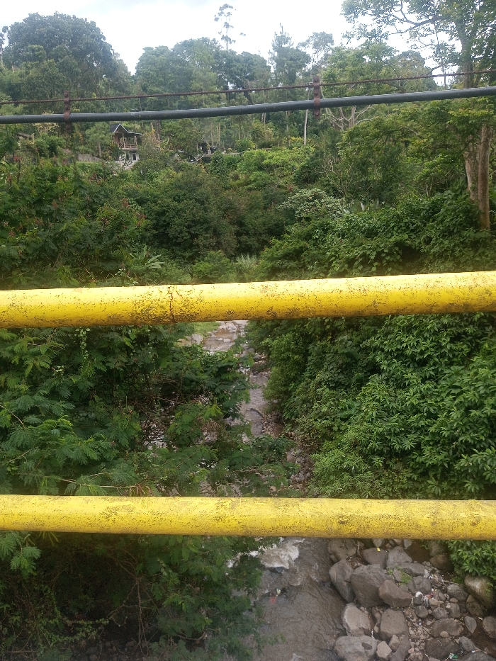 The image displays an elevated view, likely from a bridge, overlooking a natural gorge or valley in Sarwahi Mal., India. The foreground features two parallel, weathered yellow metal pipes or railings, positioned horizontally, obscuring portions of the view above and below. These pipes exhibit discoloration, possibly from rust or dirt, and surface texture indicative of wear.
Between the yellow pipes, a narrow, rocky riverbed is visible, containing a moderately flowing, murky river. The water exhibits some turbulence and white rapids in the lower right section. The riverbanks are densely covered with lush green foliage, consisting of various trees and shrubs that extend upwards and across the landscape.
In the mid-ground and background, the terrain rises significantly, forming a heavily forested hillside. Tall trees with dense canopies dominate the upper sections. A multi-story structure, appearing to be a house or cabin with a dark roof and lighter-colored walls, is partially visible nestled within the trees on the far hillside, slightly left of center. The sky above is overcast, suggesting a cloudy day. No people or overt actions are discernible within the scene.