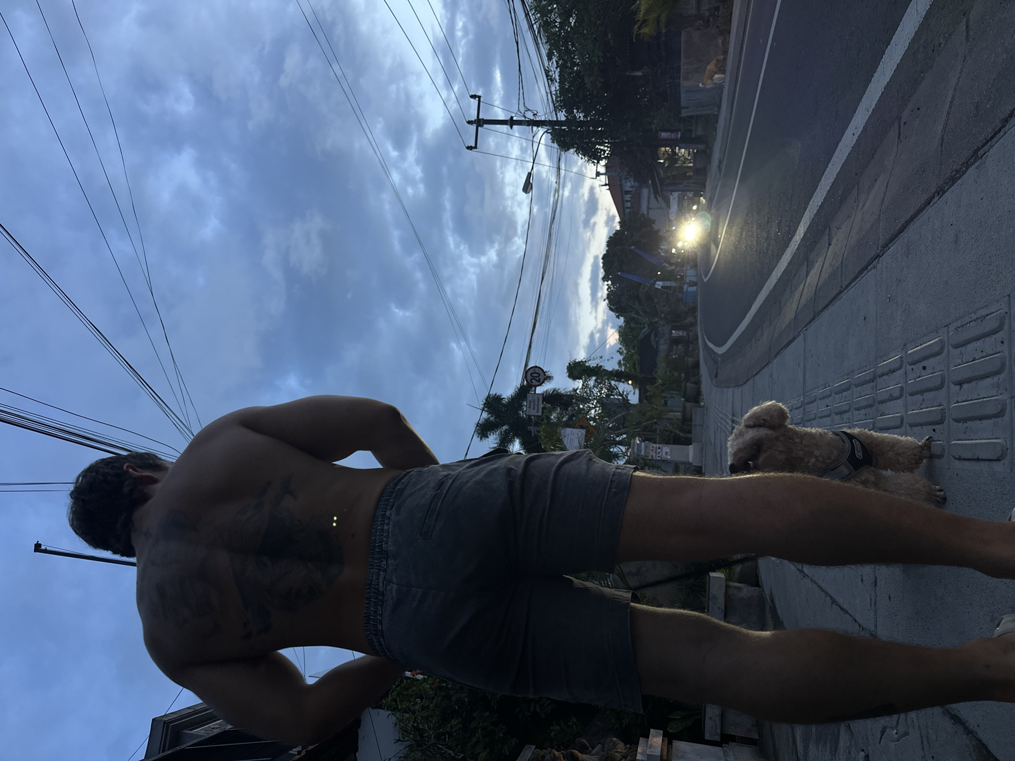 This full-shot photograph, originally captured in a portrait orientation but presented rotated 90 degrees counter-clockwise, depicts an outdoor scene at dusk or dawn in North Kuta, Indonesia.
In the foreground, a muscular man is shown from behind, standing shirtless with his back to the viewer. He has dark hair and extensive dark tattoos covering his back. He is wearing dark grey shorts. Beside his lower legs, a small, light-colored fluffy dog, possibly a poodle or similar breed, is resting or sitting on a concrete ledge. The dog is wearing a dark harness.
The scene takes place on what appears to be a street or path. A grey concrete surface with a textured pattern runs along the bottom of the frame (in the rotated image). Adjacent to this is a paved road or street, marked by a distinct white line. In the distance along the road, a bright light, possibly a vehicle headlight or another street lamp, is visible.
The sky, occupying the upper portion of the frame (in the rotated image, this is the left side), is overcast with a mix of blue and grey clouds. Numerous black overhead power lines stretch across the sky. Several utility poles, heavily strung with wires, are visible. One pole features a street lamp. Lush green foliage, including palm trees, is scattered throughout the background, indicative of a tropical environment. A road sign with a red circle enclosing the number "20" (likely a speed limit) can be seen on the right side, partially obscured by trees. The overall atmosphere is tranquil, characterized by the soft, diminishing daylight and the mix of natural and urban elements.