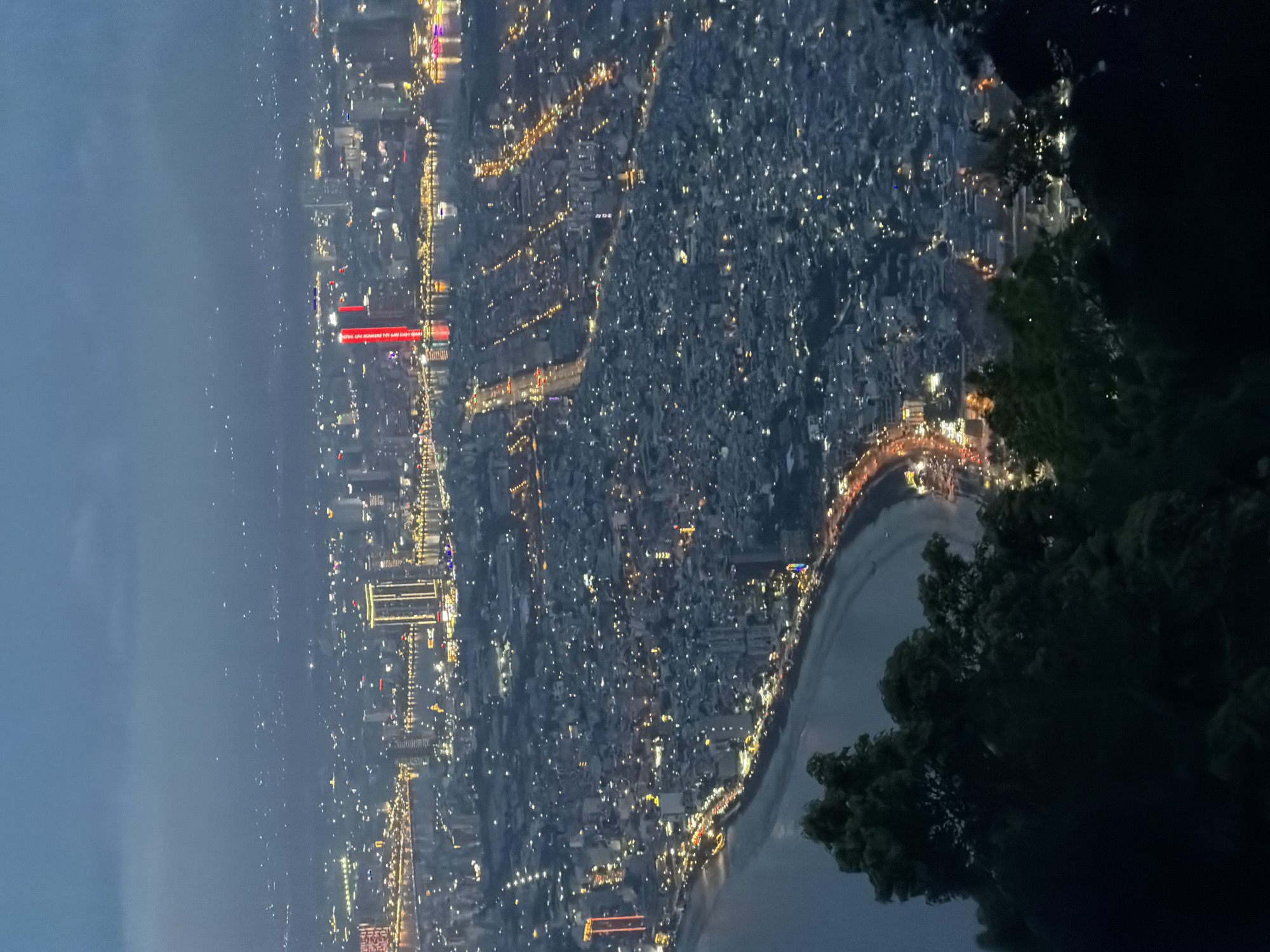 Captured from an elevated viewpoint in Đà Nẵng, Vietnam, the image showcases a cityscape at night. The city sprawls across the landscape, punctuated by illuminated buildings and streets. A body of water, likely a bay or river, traces the city's edge. The coastal area displays a visible beach. In the foreground, the dark silhouettes of trees suggest the location is on a hillside or within a park overlooking the urban area. Distinct among the numerous lights, a cluster of red lights marks a specific structure or area of interest within the city.