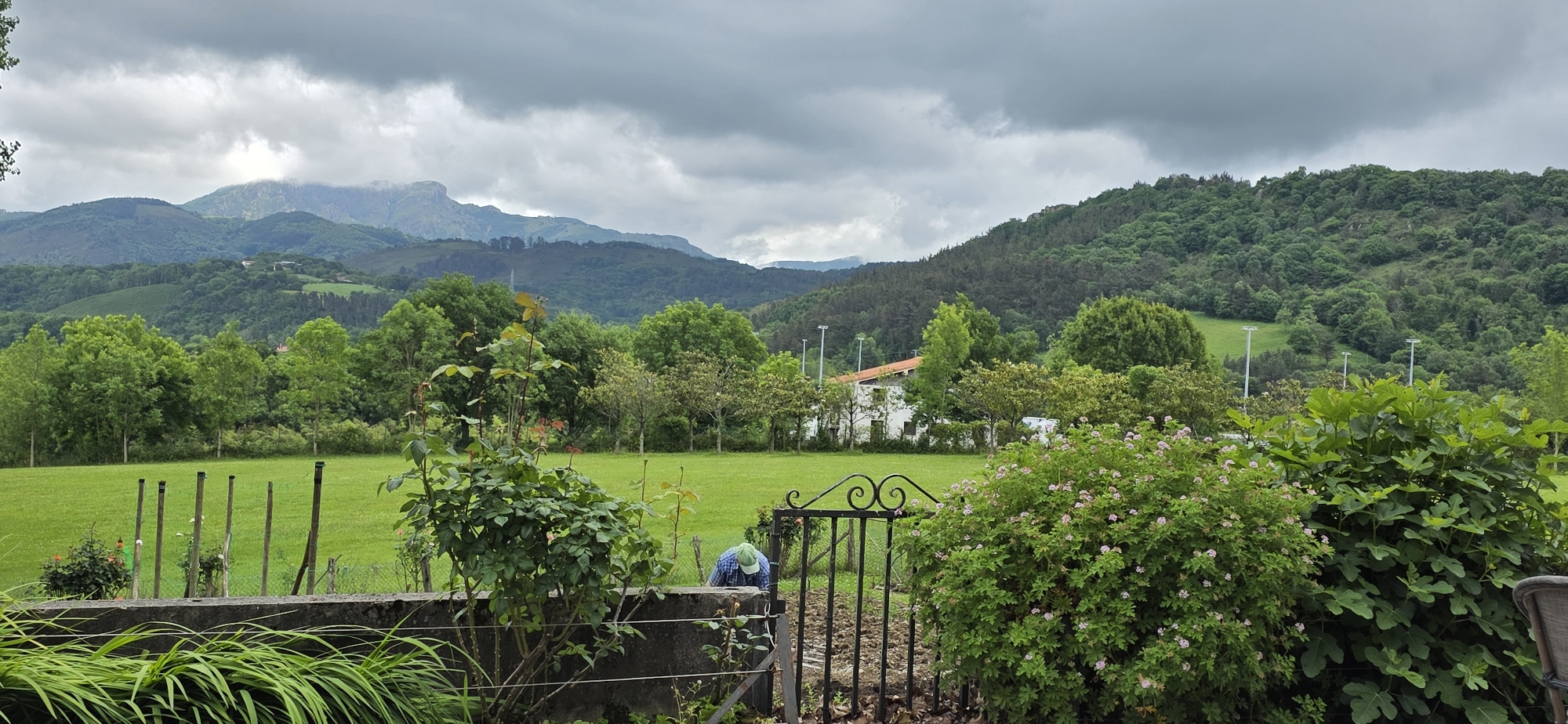 This image captures a landscape scene in Oiartzun, Spain, on a cloudy day. The foreground features garden elements: green plants with long leaves, a rose bush, and a flowering bush next to a wrought iron gate. A concrete wall runs behind these plants. A person wearing a blue shirt and green cap is working in the garden, visible through the gate.
Beyond the garden, a large green field extends towards a backdrop of rolling hills covered in trees. A few buildings with white walls and red roofs are visible amidst the trees. Tall white light poles are standing in the distance. In the far distance, mountains are shrouded in low-hanging clouds. The sky is overcast, contributing to the overall muted, green and gray palette of the scene.