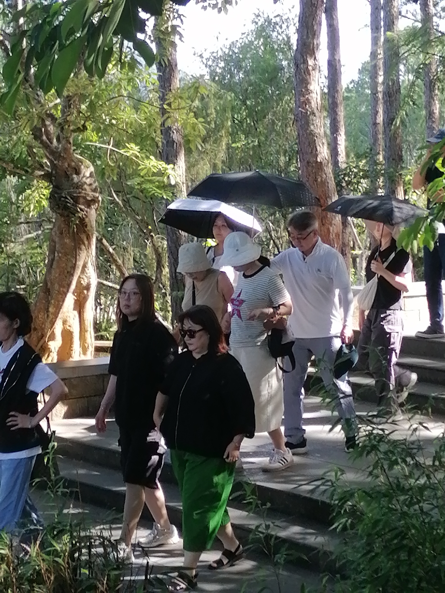 The image depicts a group of people walking on stairs outdoors, possibly in a park or botanical garden, with lush green foliage and trees forming the background. The environment suggests a temperate or tropical climate, with sunlight filtering through the trees. There are several individuals visible, some holding umbrellas, indicating it might be a sunny day or there's a possibility of light rain. The people appear to be of Asian descent. The architecture of the stairs and the surrounding vegetation suggest a tourist or recreational area. The overall mood is relaxed and casual. It is not possible to determine the exact location within Da Lat, Vietnam, based solely on this image.