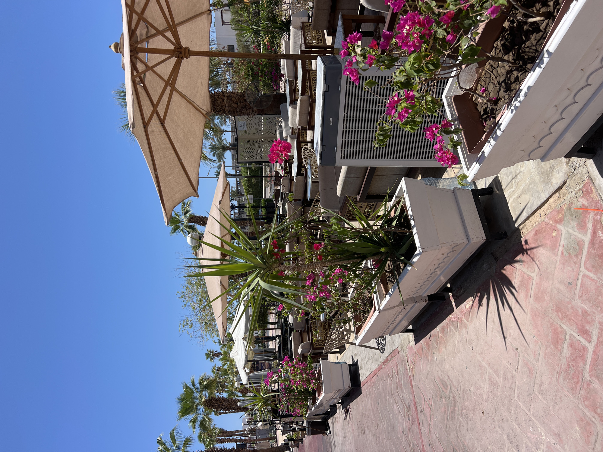 The image depicts an outdoor seating area, likely a restaurant or cafe, in a warm climate, possibly Sharm El Sheikh, Egypt. The scene is bathed in bright sunlight, indicating it is daytime, with a clear blue sky dominating the upper left portion of the frame.
Prominently featured is a large, beige outdoor umbrella with a wooden frame, casting a shadow. In the foreground, there are several white planters filled with lush green plants and vibrant pink bougainvillea flowers. One planter contains a spiky, palm-like plant. Adjacent to the planters is a large, grey air conditioning unit with a slatted front, suggesting the location is in a hot climate where cooling is necessary.
Beyond the planters and AC unit, rows of outdoor furniture, including sofas and chairs, are visible, arranged around tables. White canopies and more umbrellas are interspersed throughout the seating area, providing shade. Palm trees line the background, reinforcing the tropical or subtropical setting. The ground is paved with reddish-pink interlocking stones.
There are no people clearly visible in the image, nor is any specific activity or event taking place beyond the general ambiance of an open-air establishment. The overall impression is one of a relaxed, sunny environment ready to welcome patrons. No visible text is present in the image.