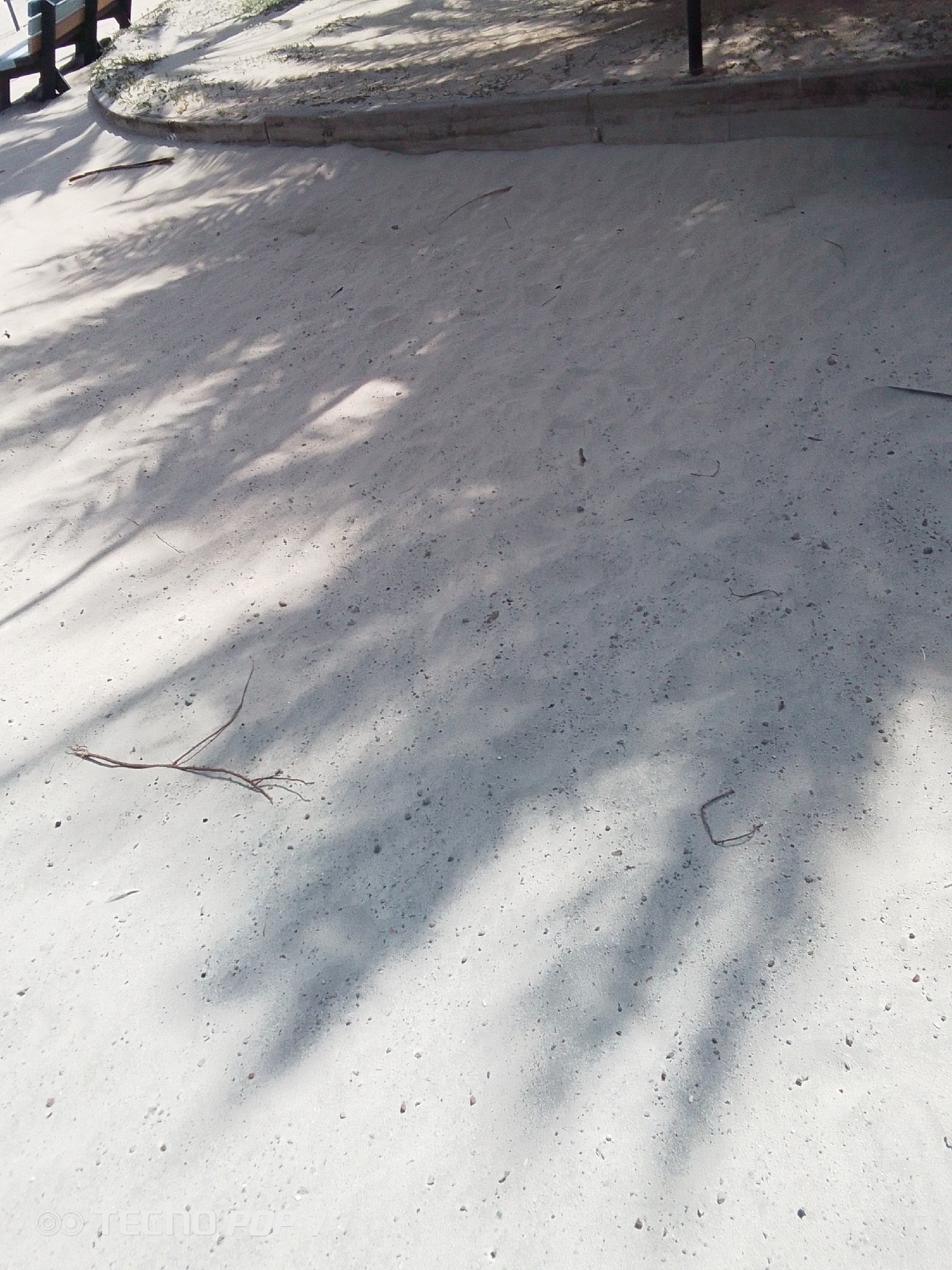 The image shows a ground surface covered with light-colored particulate matter (possibly sand or fine gravel) in Pedro González, Venezuela. There are shadows cast across the surface, likely from nearby vegetation. Some small twigs and debris are scattered on the ground. In the upper left corner, a section of a wooden bench is visible, and a concrete border separates the surface from an area with some green vegetation. The lighting suggests it is daytime.