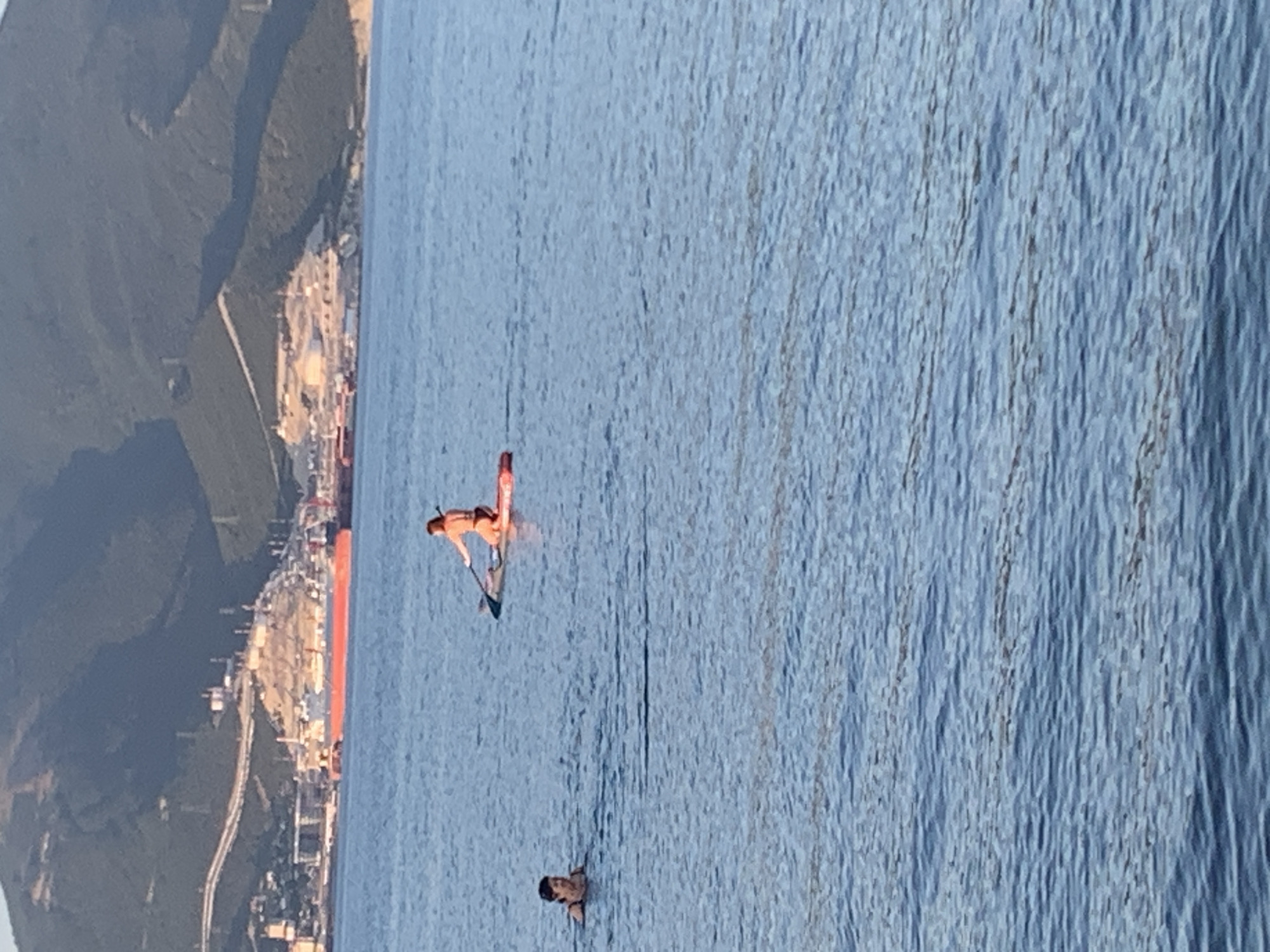 This image captures a scene on the water, likely in Novorossiysk, Russia, given the distant industrial landscape and mountainous backdrop. In the foreground, the calm blue water is disturbed by ripples. Two individuals are visible: one person is swimming, with only their head and shoulders above the surface. The other person is on a paddleboard, kneeling and holding a paddle.
In the background, a large red and white ship is docked or anchored near a shoreline with significant industrial infrastructure, including large buildings and what appears to be a construction or mining site on a hillside. The hills behind the industrial area are covered in green vegetation, and a road or pathway winds its way up the slope. The overall atmosphere suggests a warm day with clear skies, implied by the bright lighting on the water and the landscape.