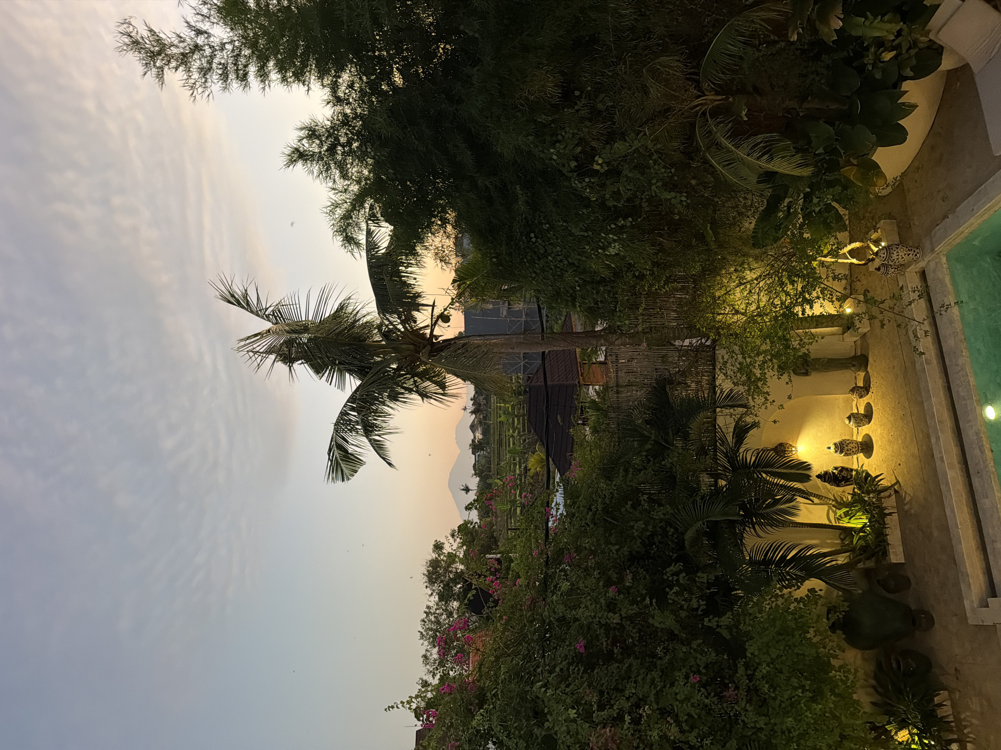 The image depicts an outdoor tropical scene at dusk, specifically within North Kuta, Indonesia. The sky exhibits a gradient from light blue at the zenith to soft orange and yellow tones near the horizon, with sparse, thin altocumulus clouds overhead. In the distant background, silhouetted against the sunset sky, are two prominent mountain peaks, likely volcanoes. Below the mountains, rice paddies and residential structures with dark roofs are visible.
The scene is dominated by lush green foliage. A tall coconut palm tree stands centrally, featuring several coconuts. Dense bamboo-like trees are present on the right, and various other tropical trees and bushes, including one with vibrant pink bougainvillea flowers, are scattered throughout the midground.
The immediate foreground and midground reveal a private outdoor area, likely a villa garden or resort. A light-colored wall forms the perimeter of this area, illuminated by warm yellow artificial lighting emanating from ground-level fixtures and string lights. Decorative elements include large, dark-colored ceramic pots, smaller ornate vases, and statues, one of which resembles a Buddha figure. A swimming pool with clear turquoise water is partially visible in the bottom right corner, alongside a section of a white sun lounger. No individuals are present in the image.