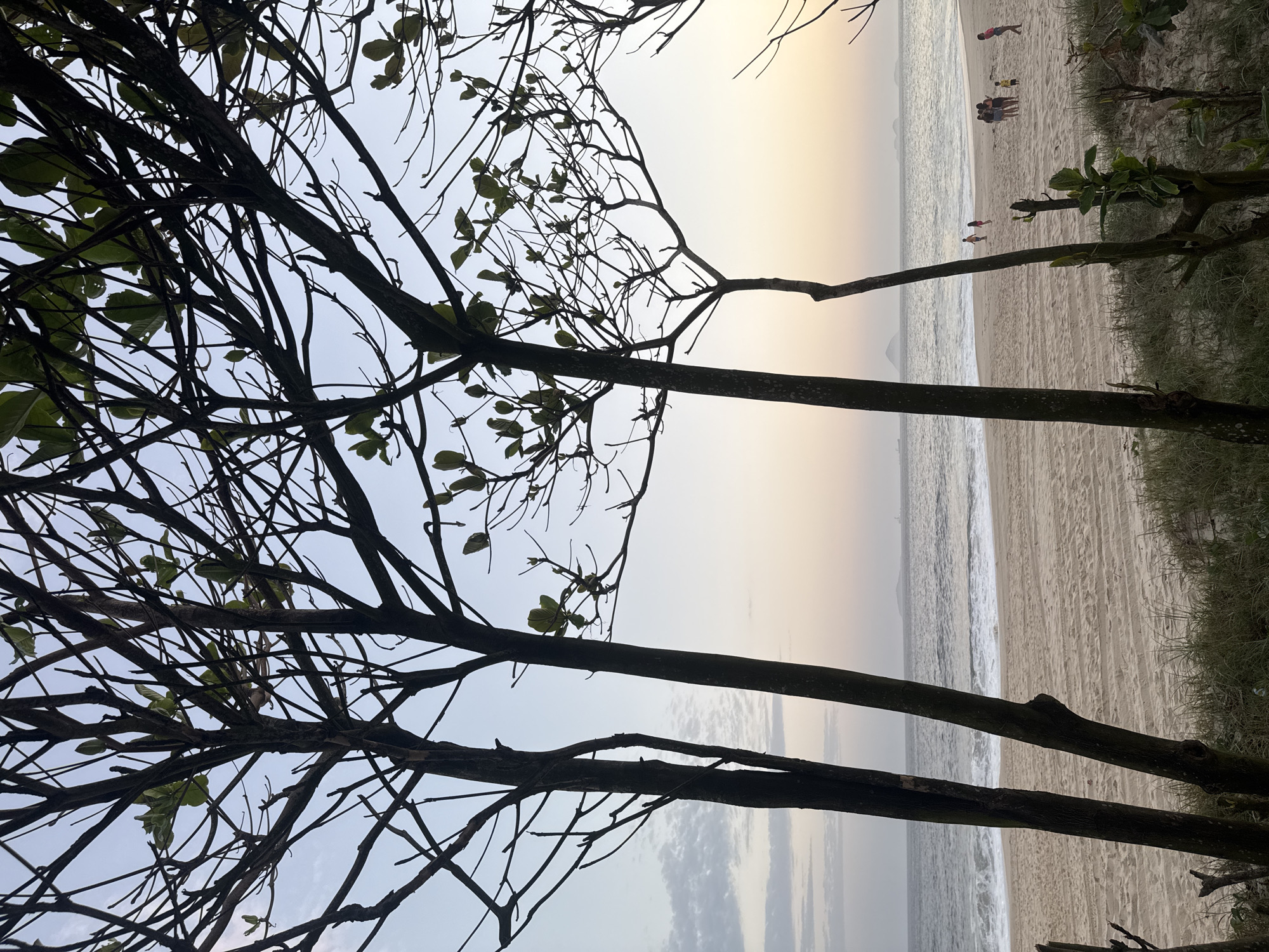 A view of Icarai beach in Niterói, Brazil, at dusk, looking west. Silhouetted trees frame the foreground, with their branches reaching towards the pale sky. The sandy beach is mostly empty, with a few small groups of people scattered near the shoreline. Gentle waves break on the sand, and the ocean extends to the horizon, where a hazy silhouette of islands can be seen. The sky transitions from a light blue at the top to a soft peach and pink near the horizon, indicating the setting sun. The sand shows patterns of footprints and tire tracks.